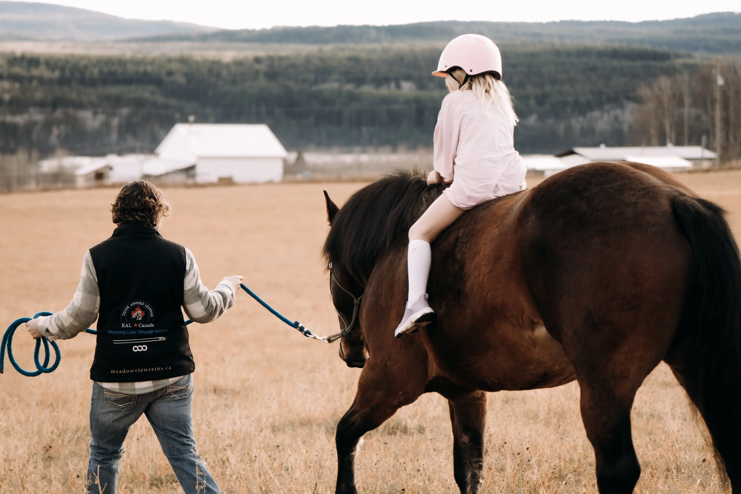 Participant building trust and communication skills during a ground-based Equine Assisted Learning session at MeadowView Reins.