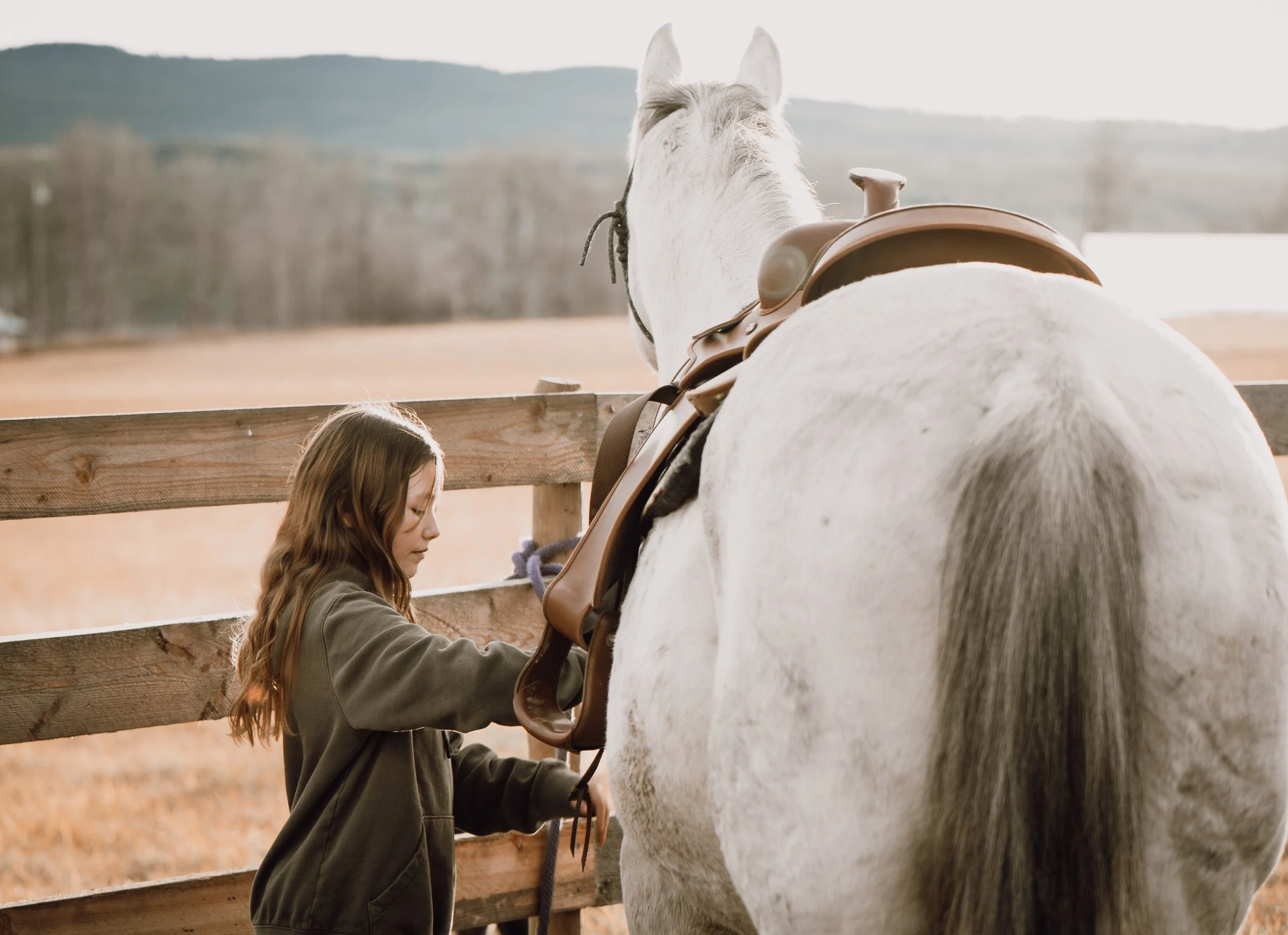 English and Western riding lessons and Pony Club badge work