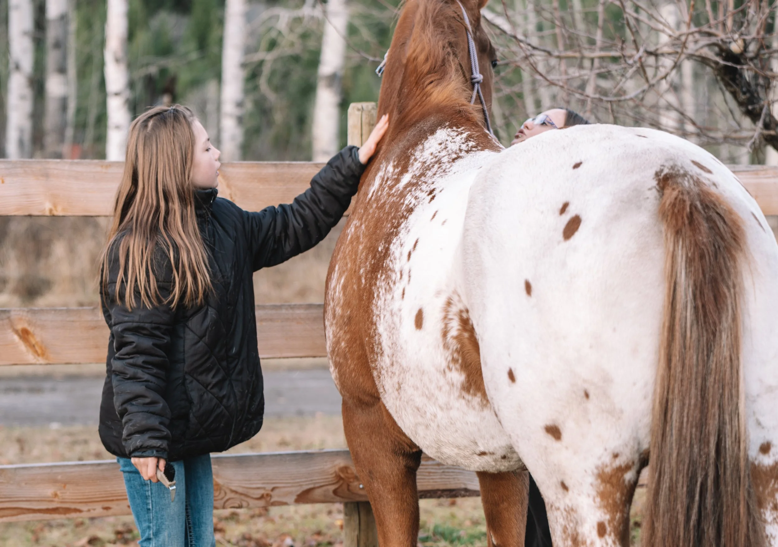 Kids participating in outdoor games and team building at Spring Break Horse Camp.