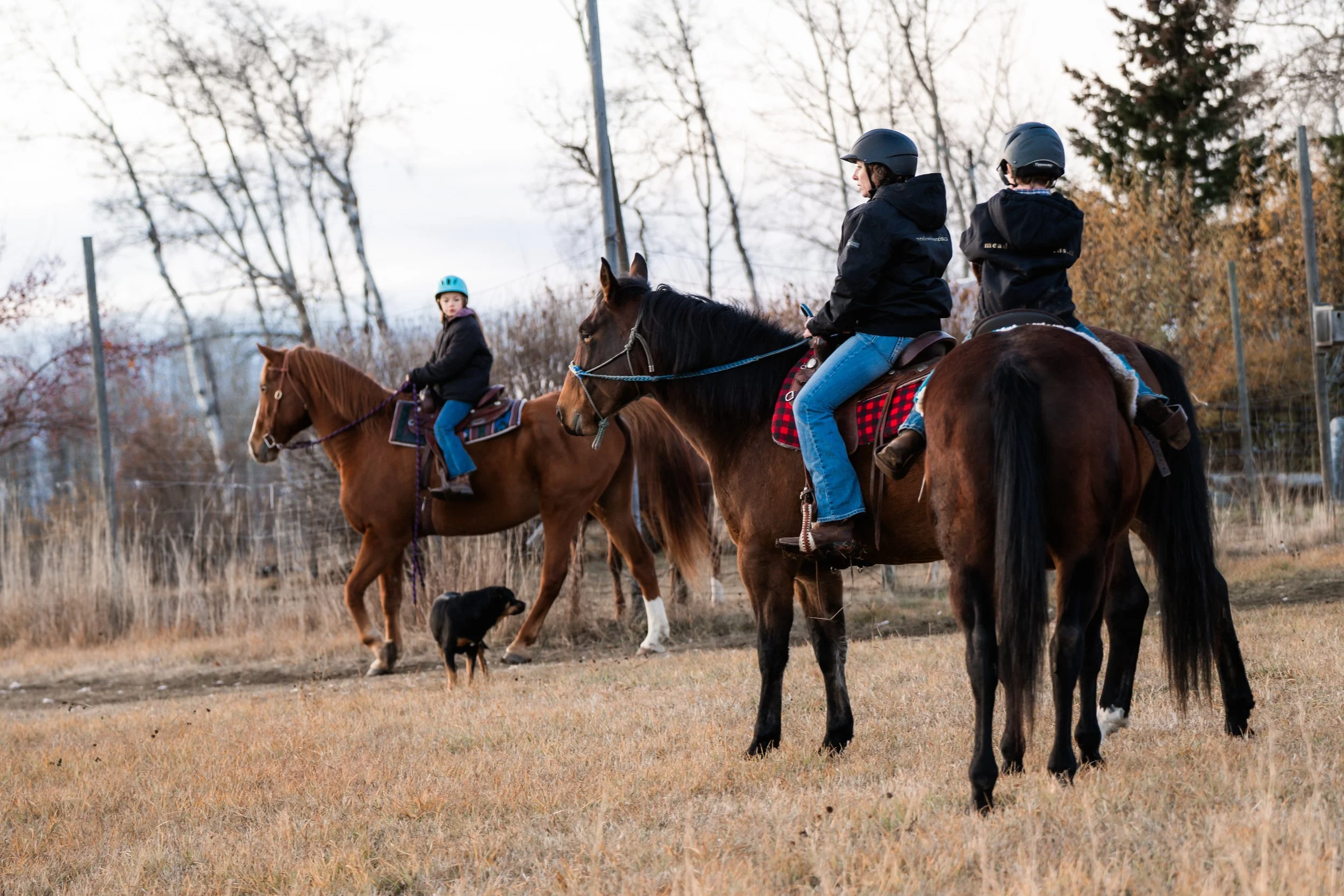 Young riders learning stable management at the official Canadian Pony Club center in Williams Lake, BC.