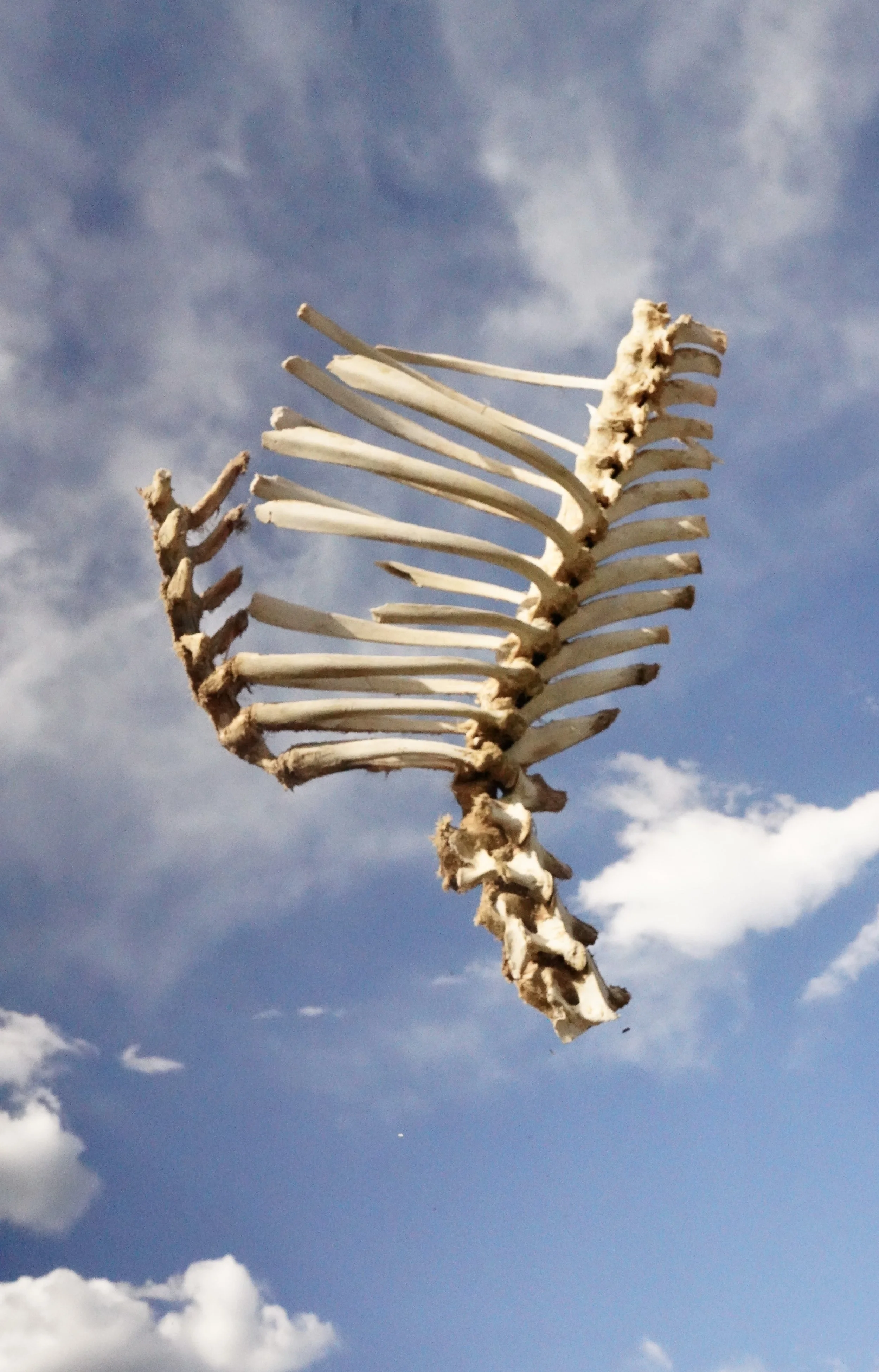 North of Abiquiu (V).JPG