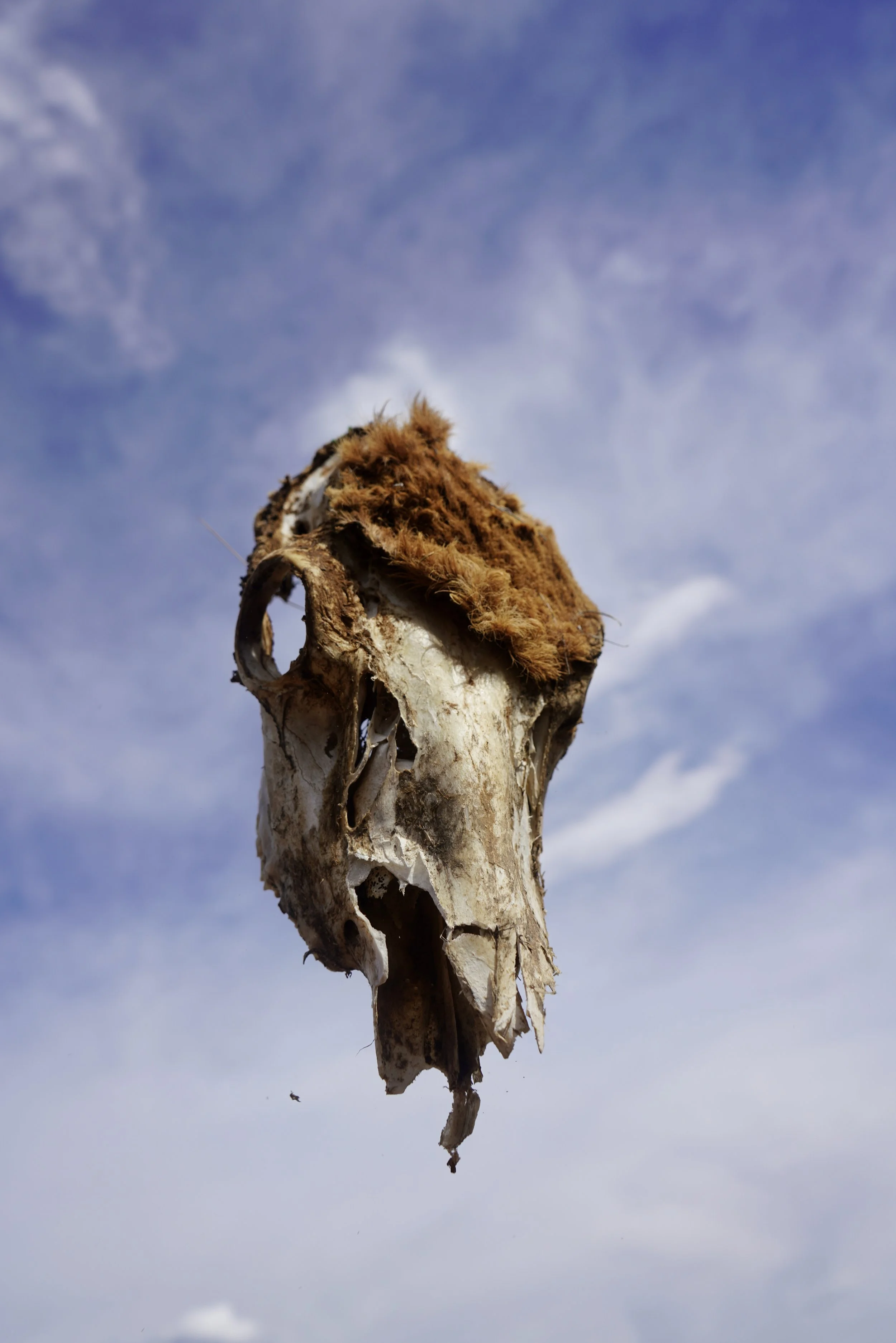 North of Abiquiu (VII).JPG