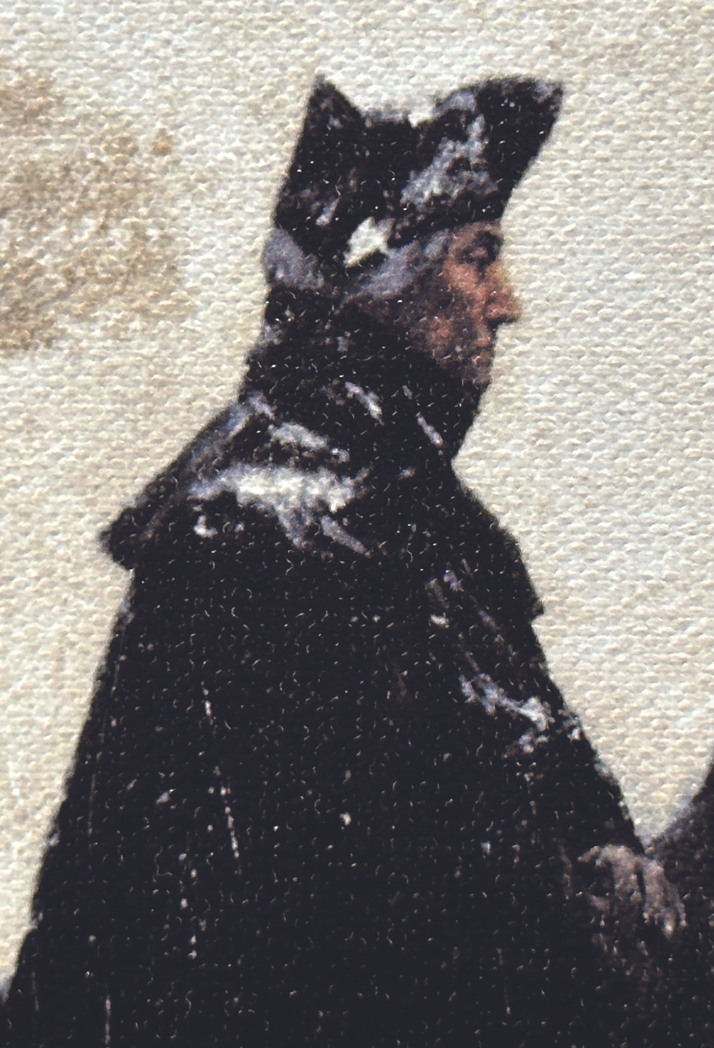 A black and white dog with patches of brown, sitting on a snowy ground, facing to the right.