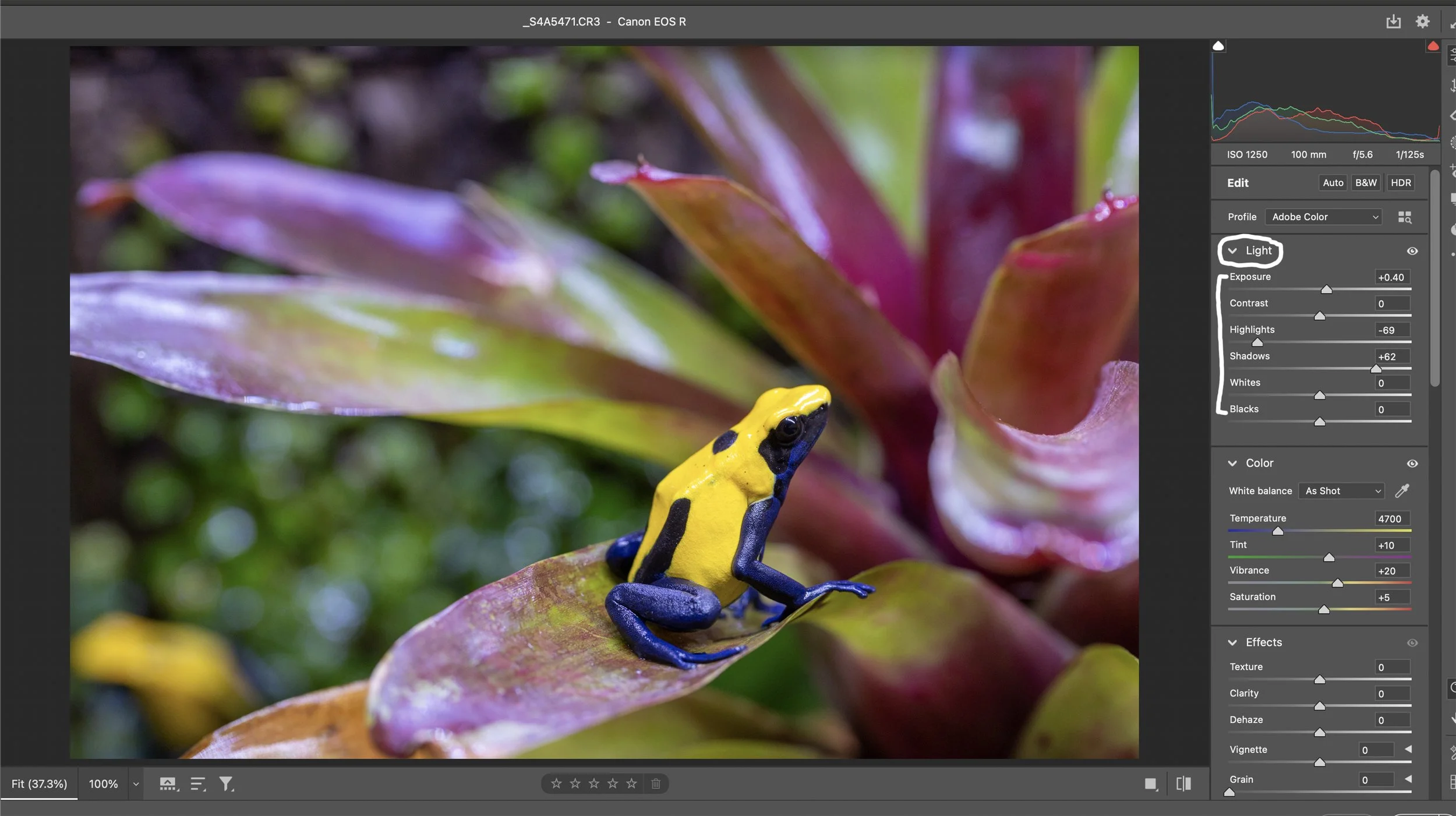 After the Color sliders, I work on the Light sliders in ACR, Exposure through Blacks.  The entire image is underexposed by about 1/2 a stop, so I pushed the Exposure slider to +40.  I never really touch the Contrast slider.  As you can see, the highl