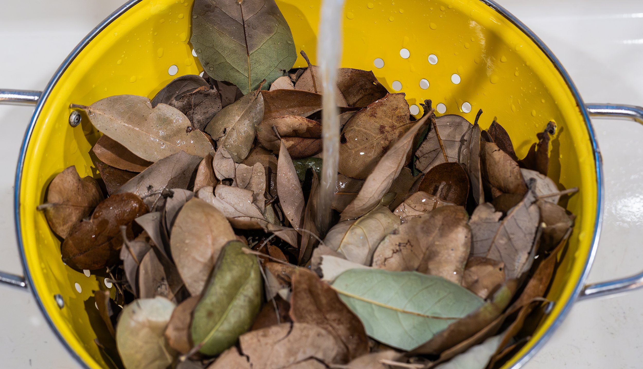 Wash the leaves in a colander to remove any dirt and debris