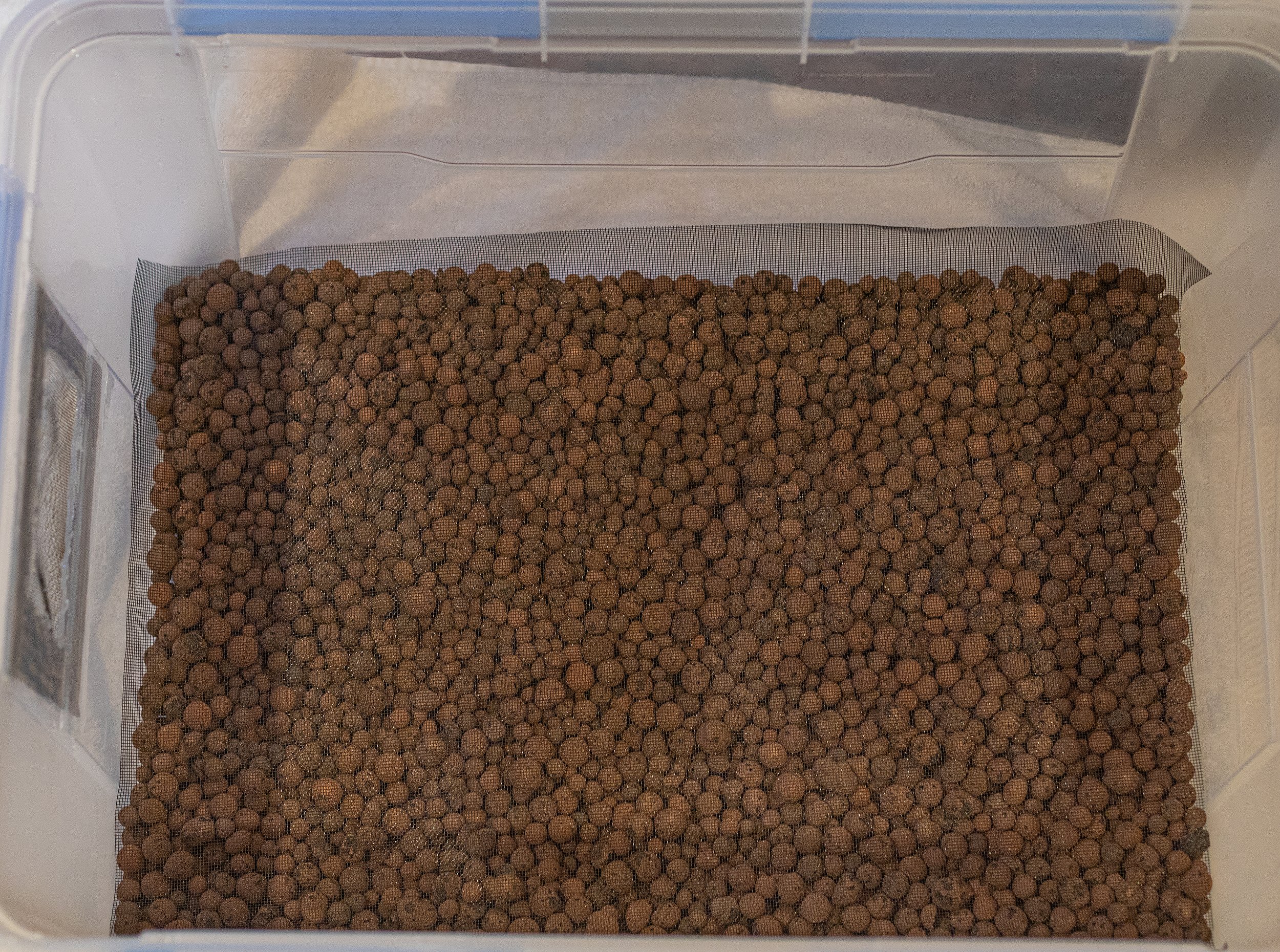 After the hole(s) is cut and covered, I place a drainage layer on the bottom of the enclosure with LECA or a foam filter pad. Since I like to keep some plants cuttings in the quarantine enclosures to help the frogs feel secure, I set up the enclosur