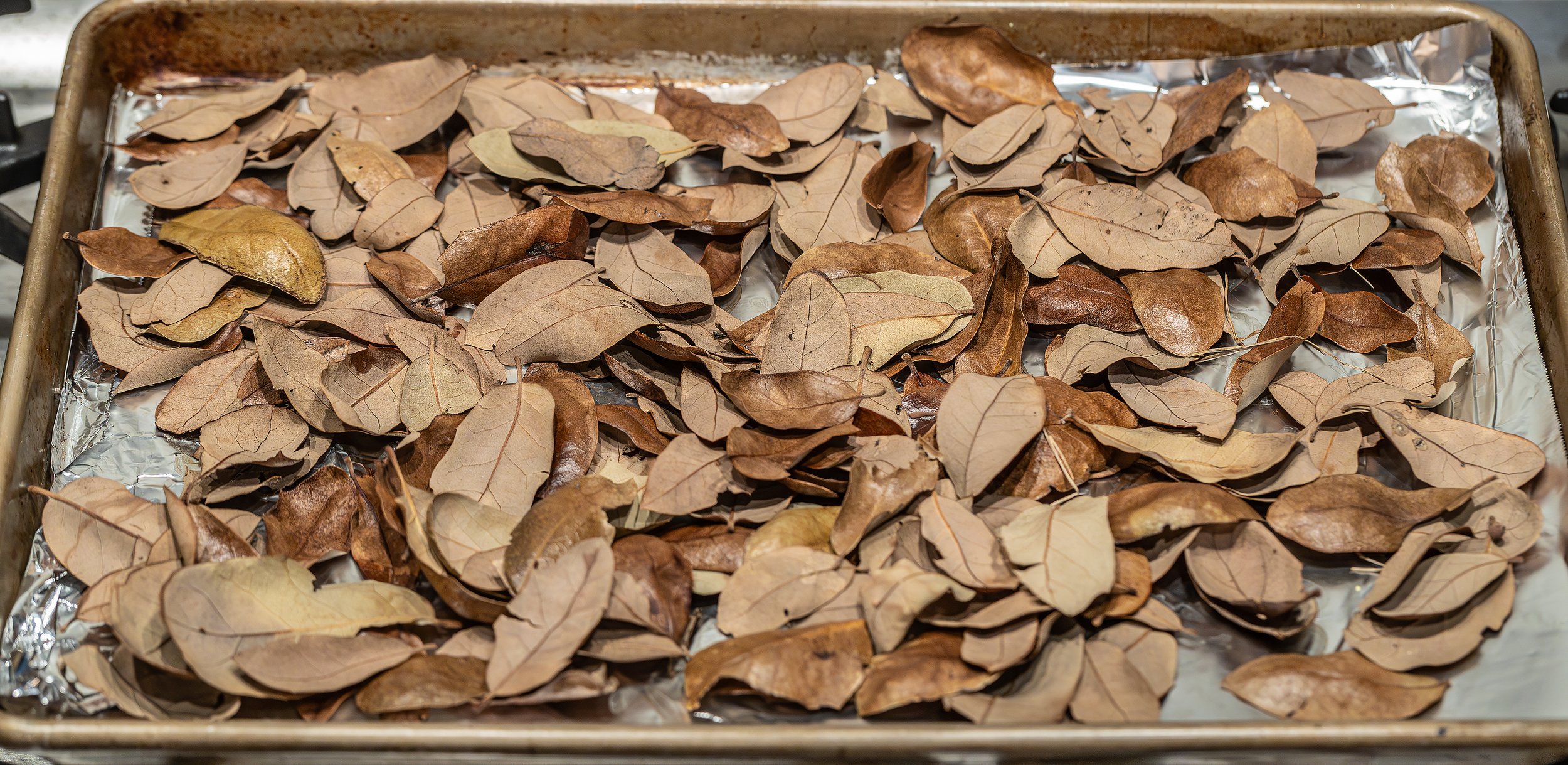 AVS_leaflittertutorial5_sRGB_3456x_72ppi.jpg