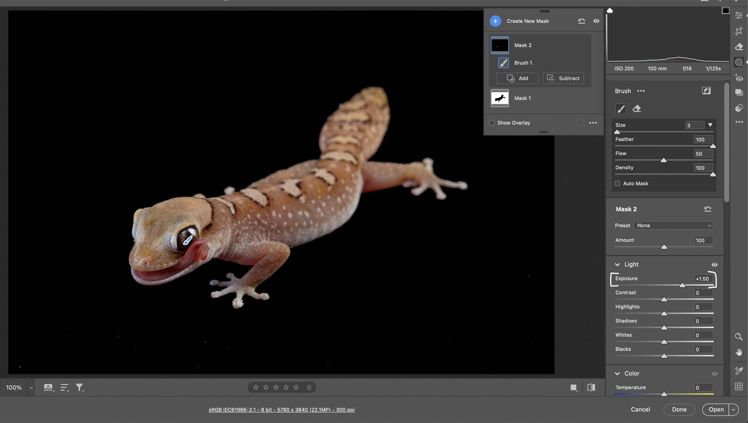Next, click on Create New Mask, then click the Brush Tool.  Use the Brush Tool to open up the eye by pushing the Exposure Slider to the right and painting in the area of the eye that needs to be brighter..