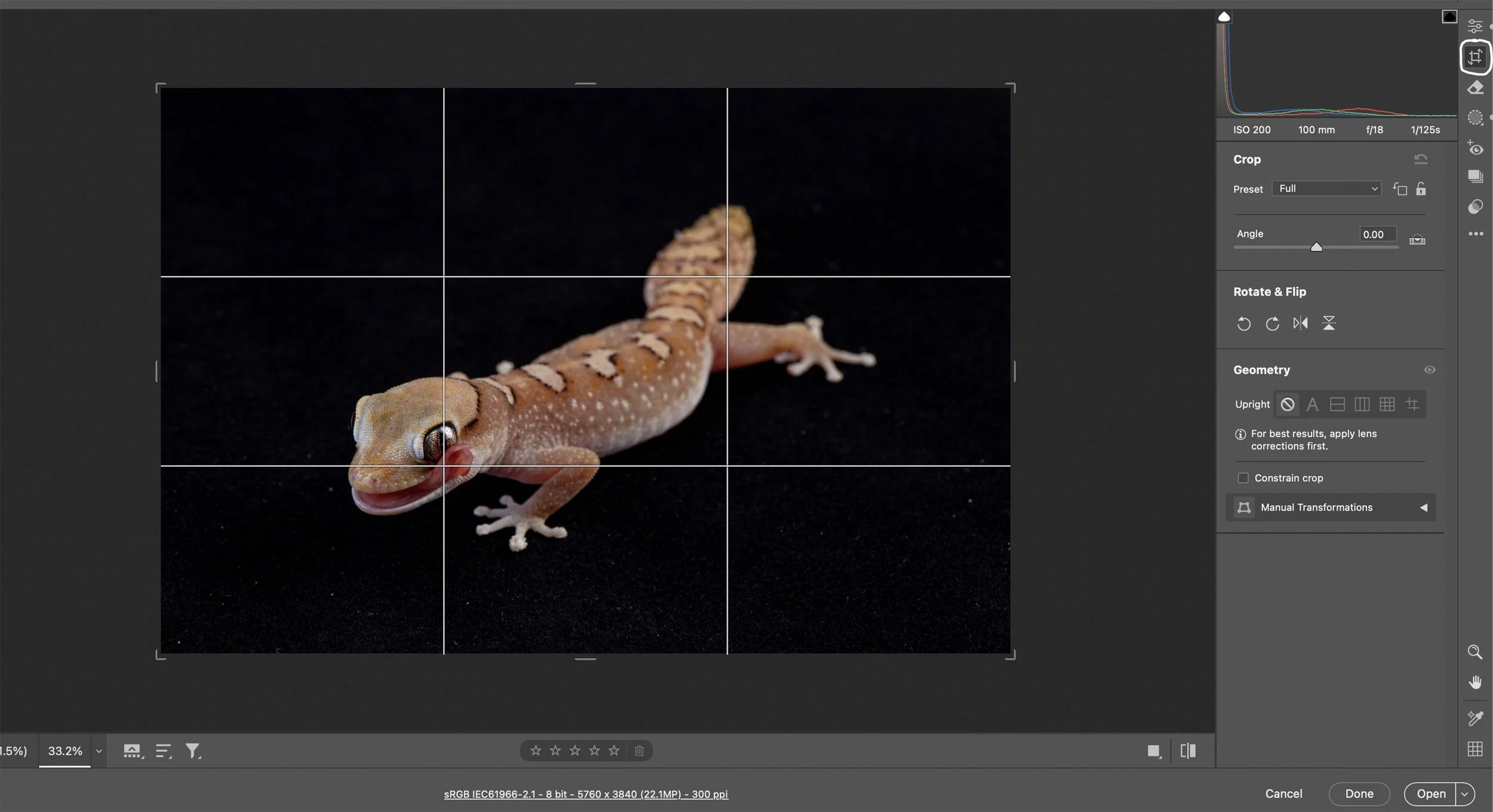 Next, I crop the image as needed, using the rule of thirds.  The rule of thirds is a composition guideline in photography and art that suggests dividing an image into nine equal parts with two horizontal and two vertical lines, and placing key elemen