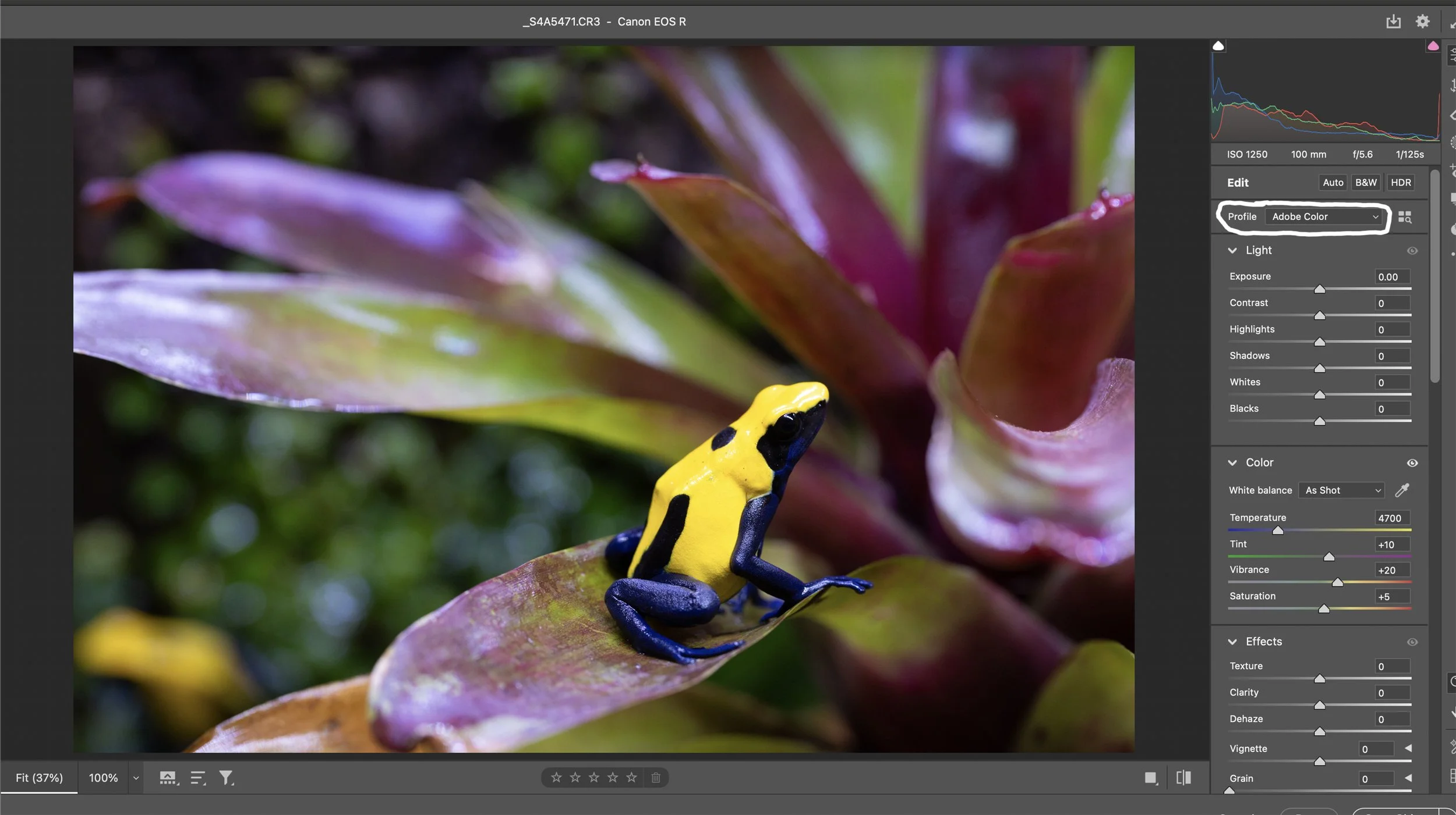 Open the image in Adobe Camera Raw (Lightroom has the same Develop Module). First, select the Profile dropdown and select the color profile you prefer as a one-click starting point for photo editing.  I always use Adobe Color.  I very rarely use any 