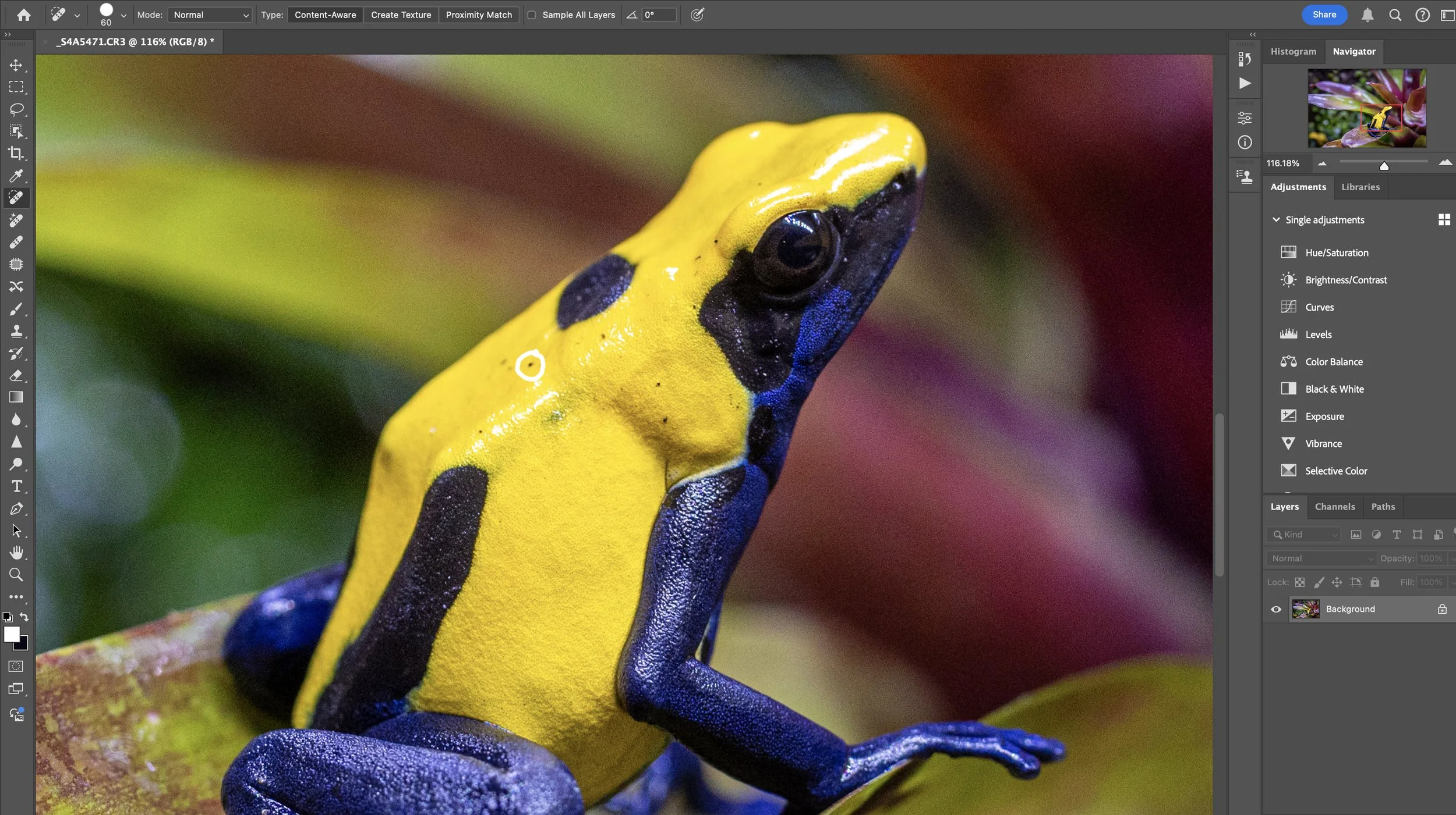 Finally, I open the image in Photoshop for the final touches.  I remove blemishes/artifacts with the Spot Healing Brush Tool with Type: Content-Aware, crop the image, then output sharpen for web or print.  