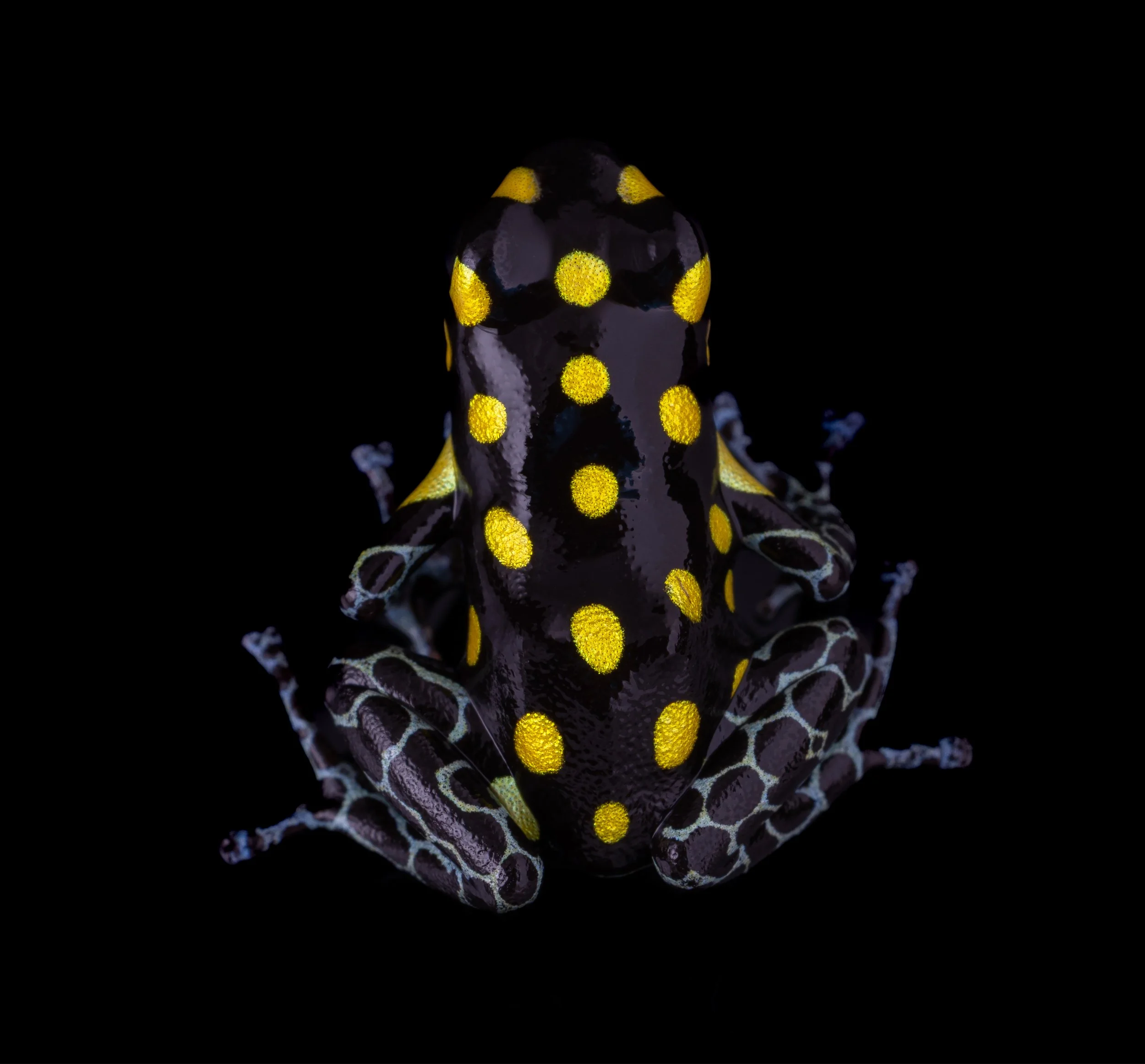 AVS_Prints_R.vanzolinii7_sRGB_3456x_72ppi.jpg