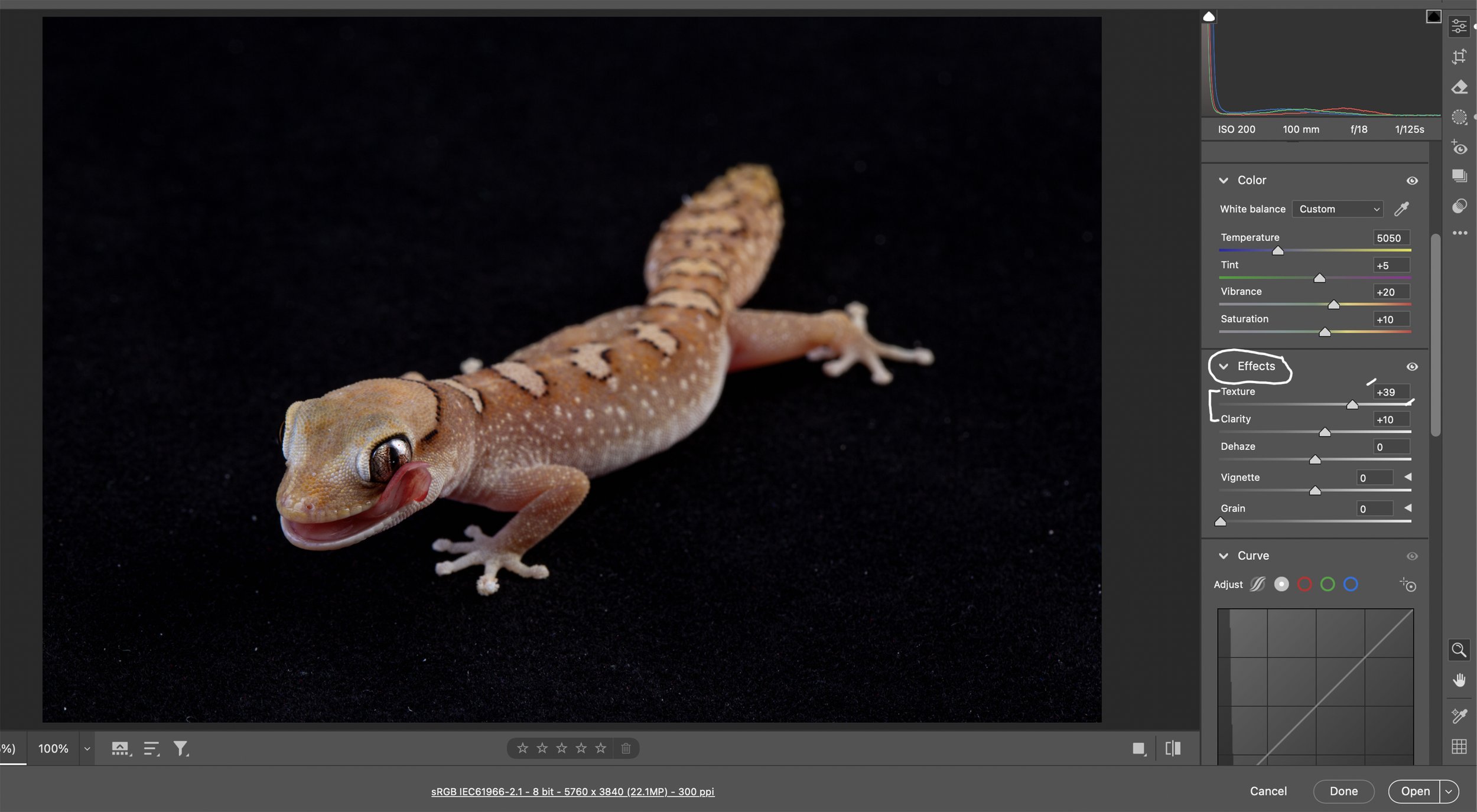 Next Panel is the Effects Panel.  I really only use the Texture Slider in this panel because, quite frankly, the others are unnecessary.  The Texture Slider is great for reptiles and amphibians.  I pushed this one to +39.  I usually move this slider 