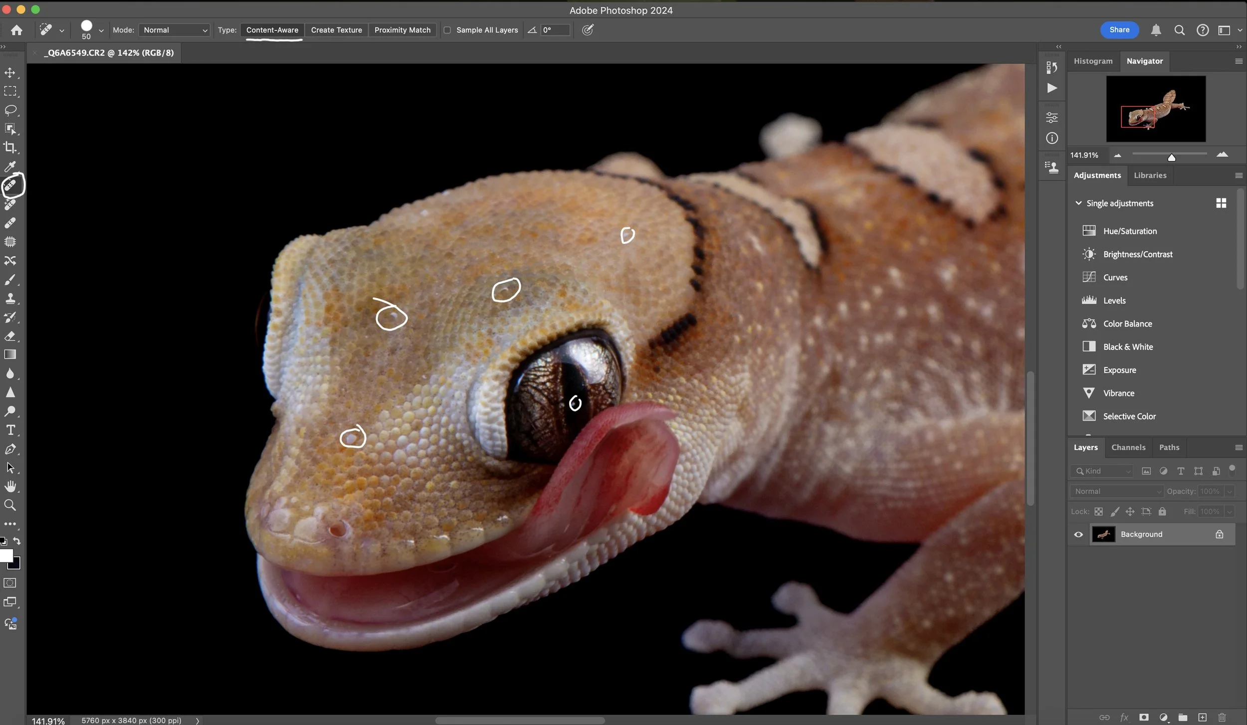 Open the image in Photoshop, and remove marks/artifacts from the subject and background (if some were missed in ACR) using the Spot Healing Brush tool with Type: Content-Aware. 