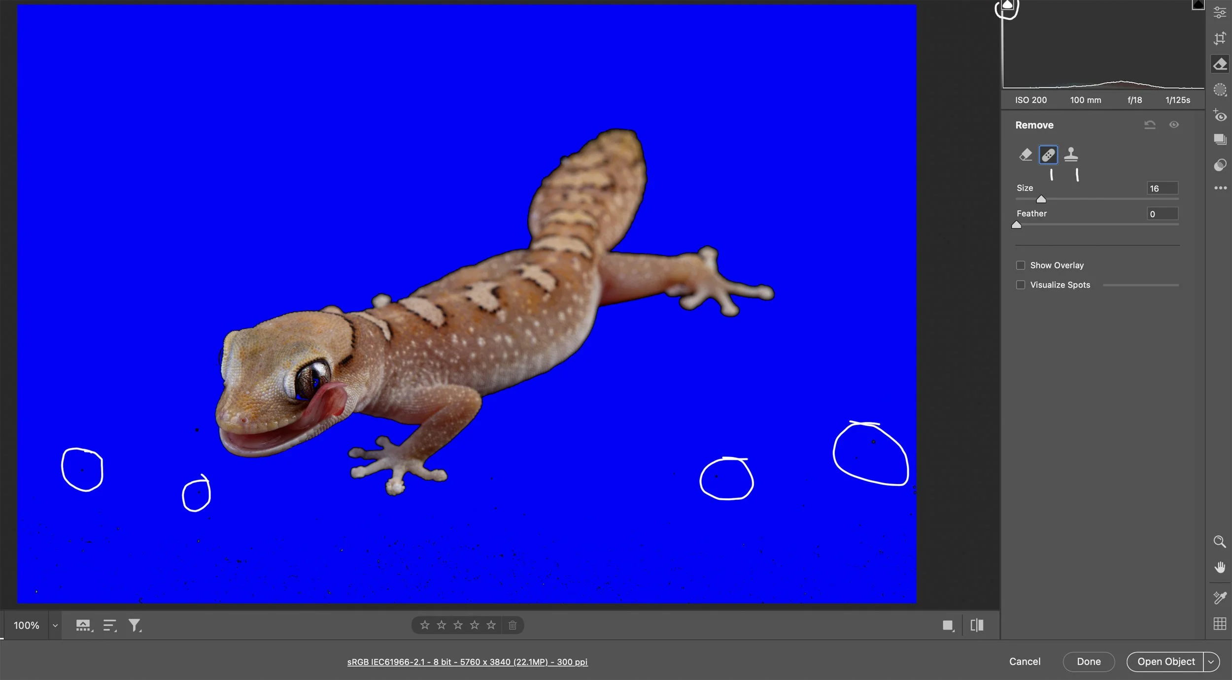 After masking the background and eye, it’s time to remove all of the artifacts in the background before doing the final edits in Photoshop.  Click on the Remove icon just above the Masking icon.  You can use Heal or Clone to remove all of the artifac