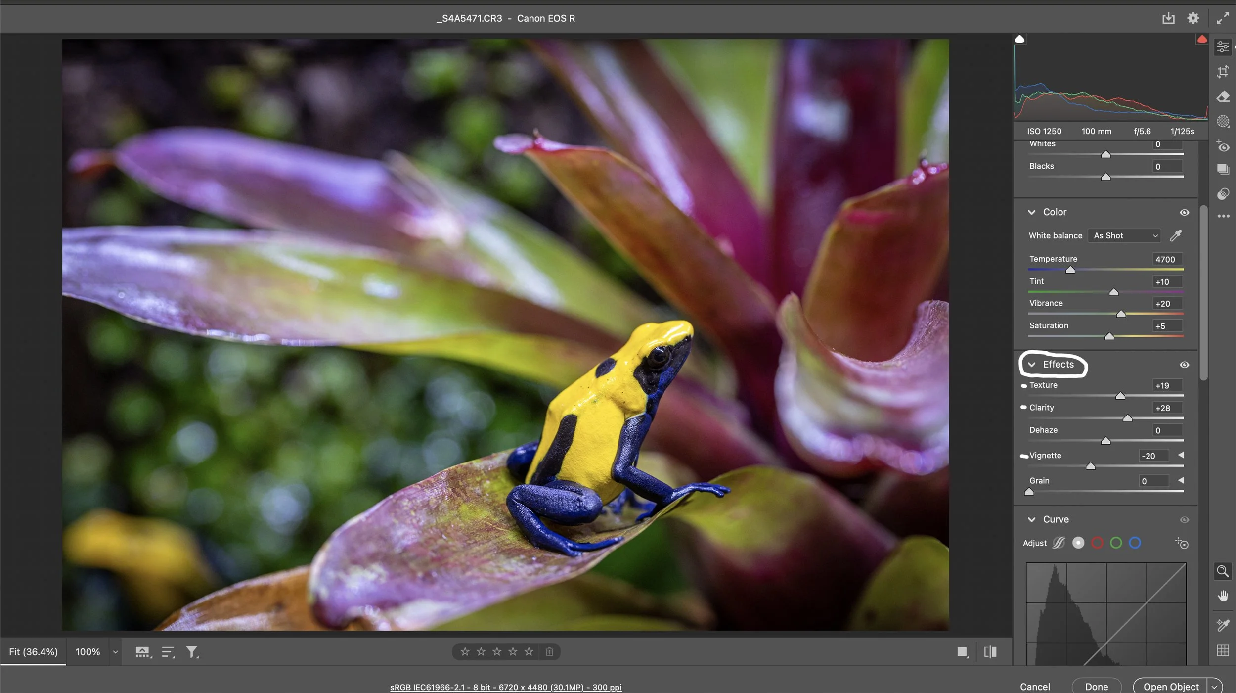The Effects sliders are next.  I always add some texture to the subject.  I pushed the Texture slider to +19.  I also pushed the Clarity slider to +28.  The Clarity slider changes the contrast around the edges of objects in the photo.  The only other