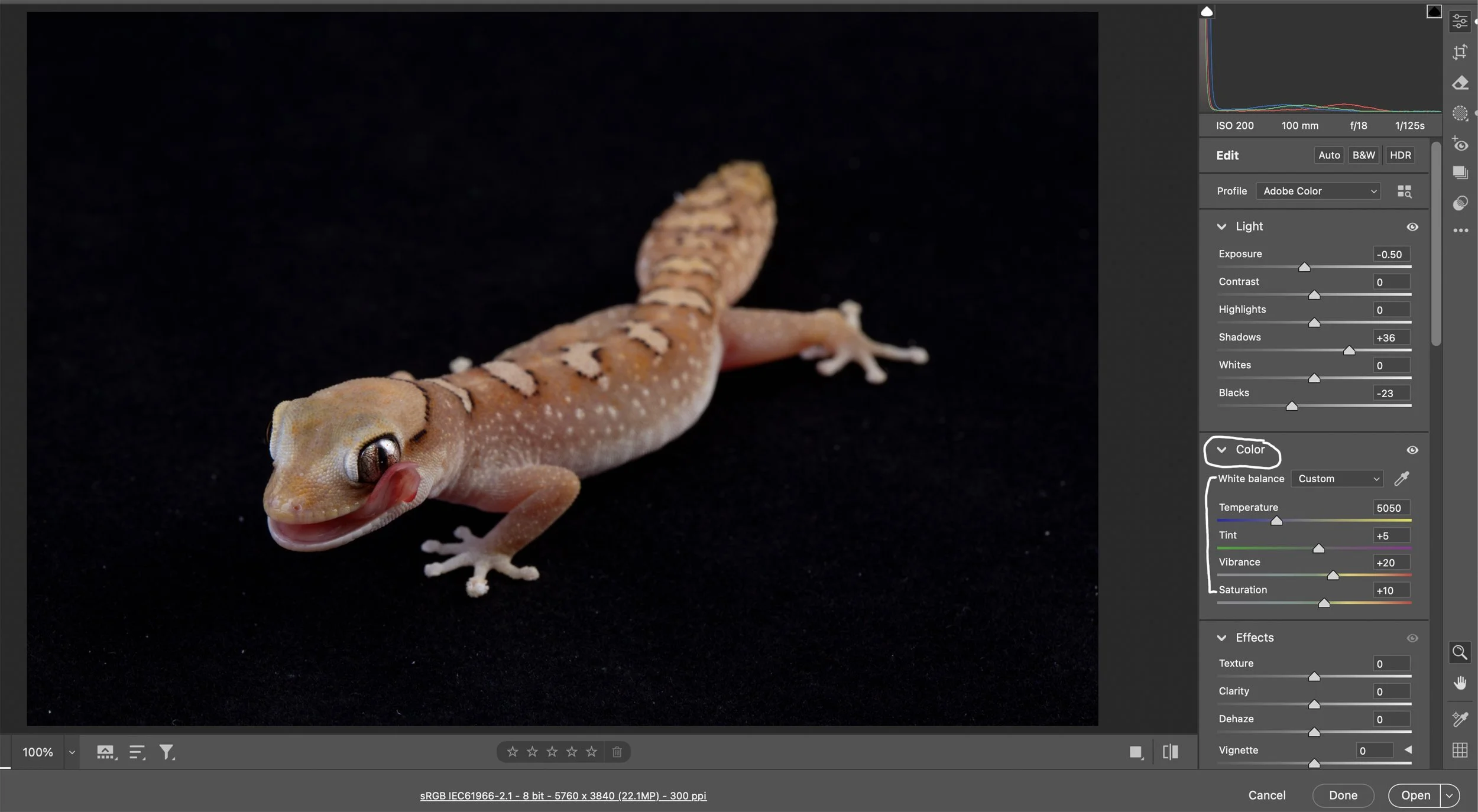 Next, let's move down to the Color sliders (White Balance - Temperature, Tint, Vibrance, and Saturation).  As mentioned in the other tutorial, I know my Elinchrom strobes are around 4900-5100K, but you can use a gray card to easily get the correct wh