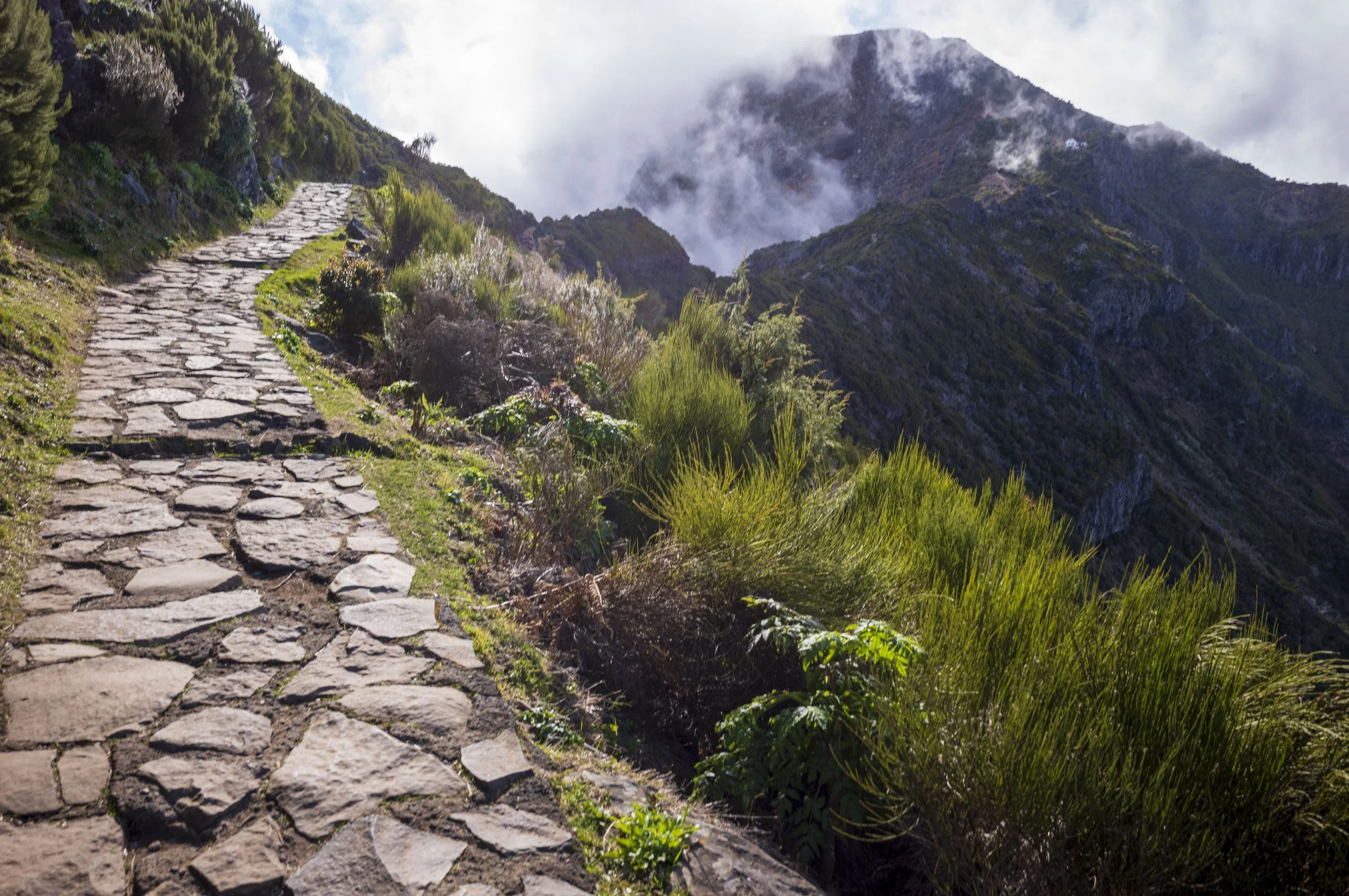 Trail to the summit of Pico Ruivo