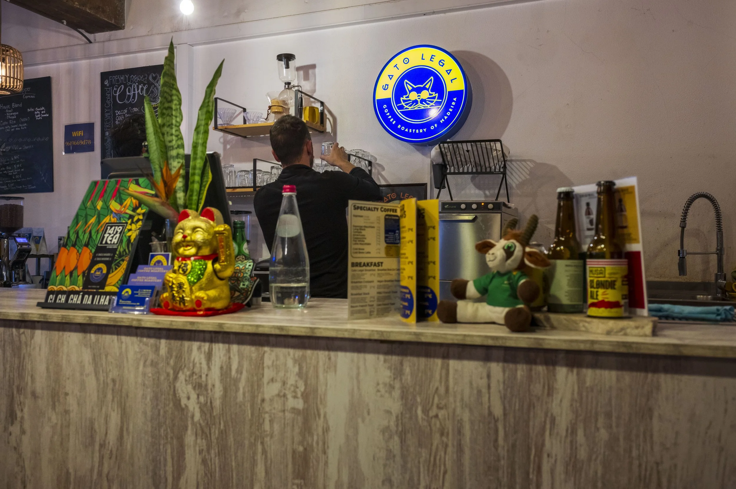 Gato Legal, the only pourover I found on the Island