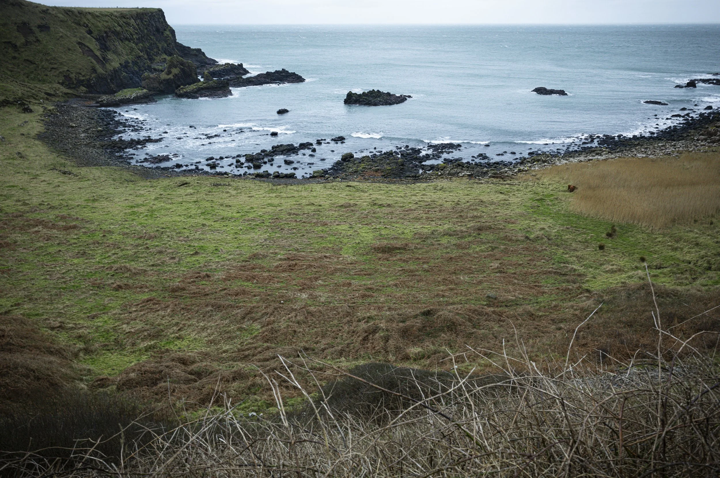 Irish Coastline near Giant's Causeway