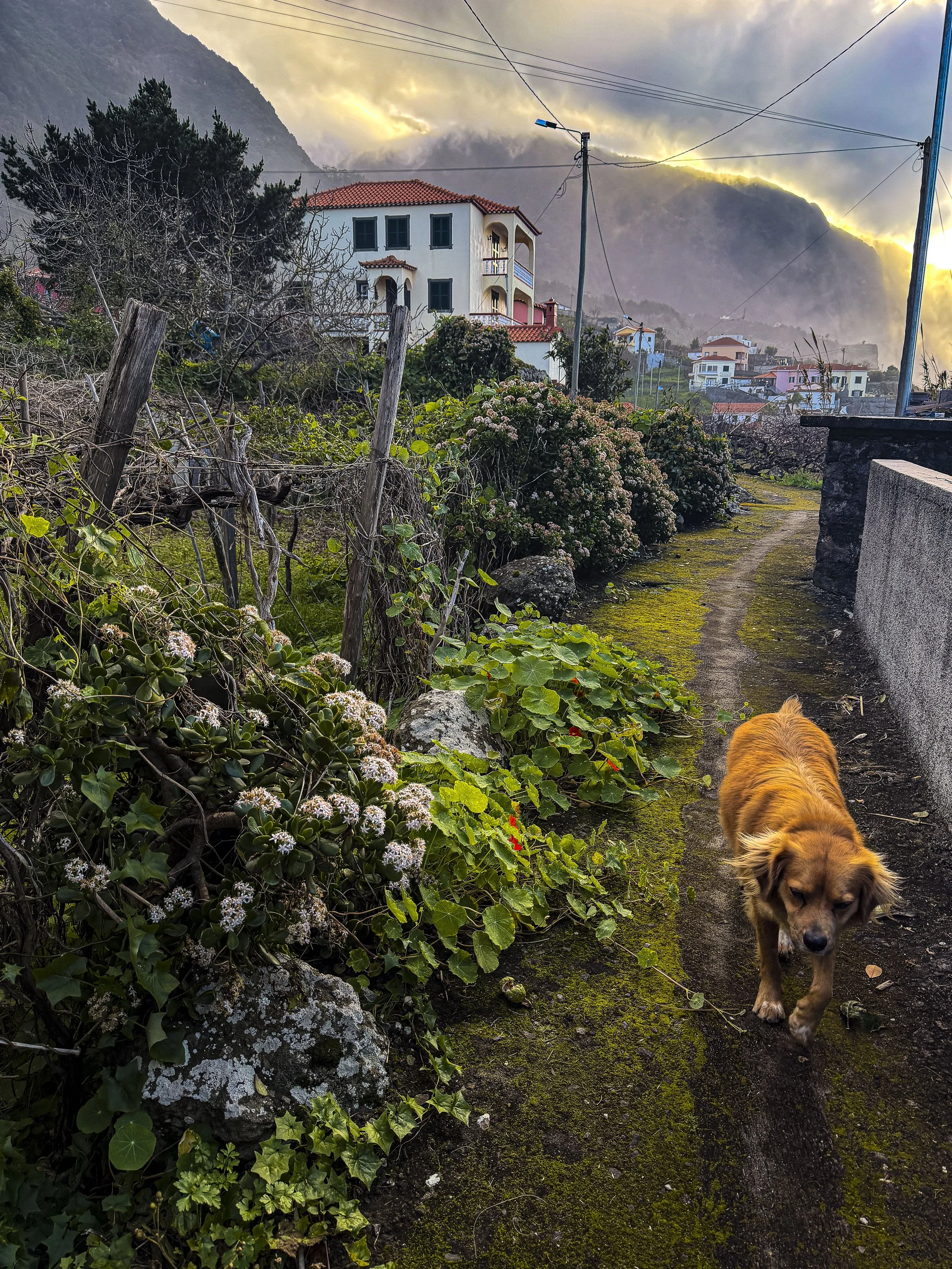 Meeting new friends in Ponta Delgada