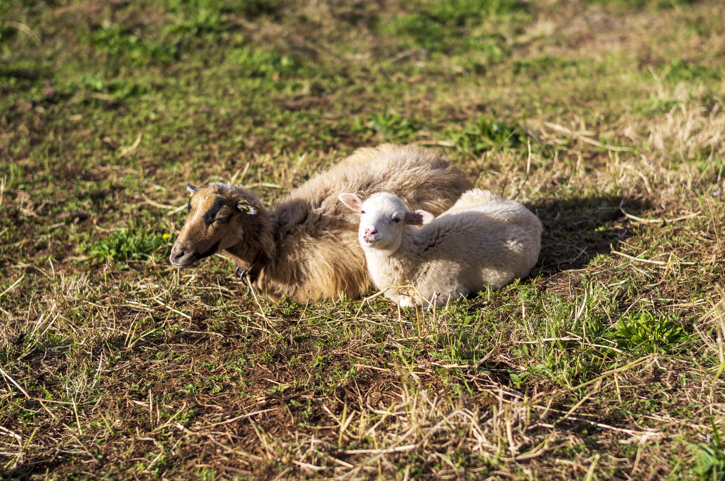 Baby Cheesin for the camera