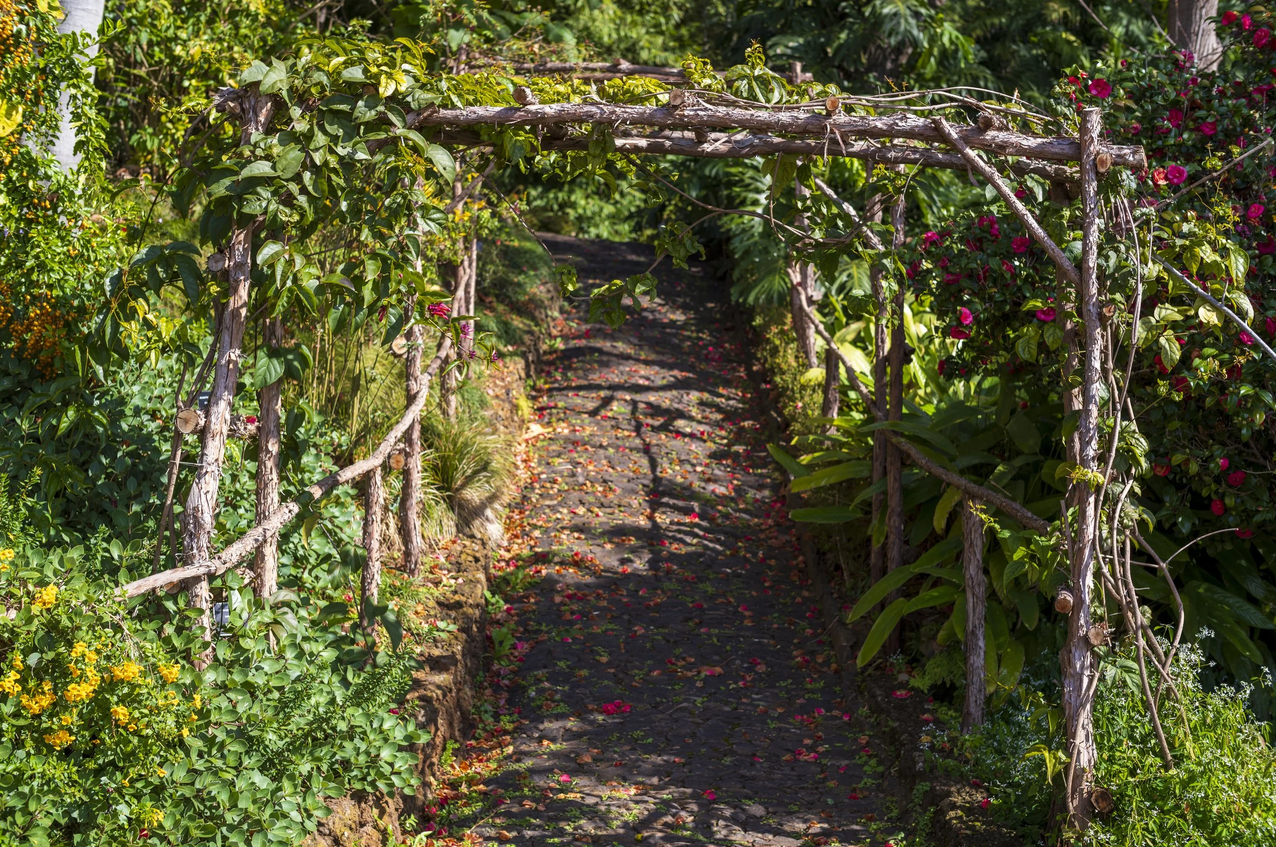Archway at the Botanical Garden in Funchal