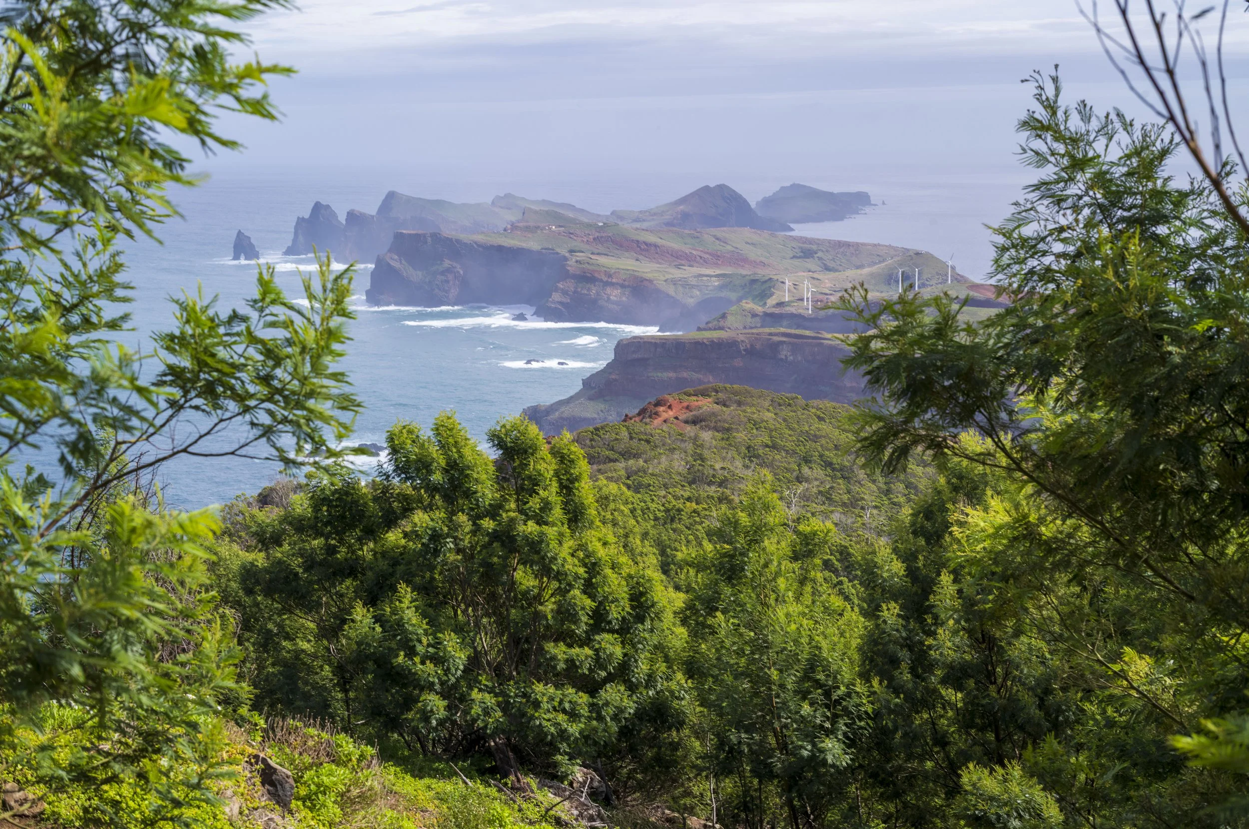 Madeira Trip-031.jpg