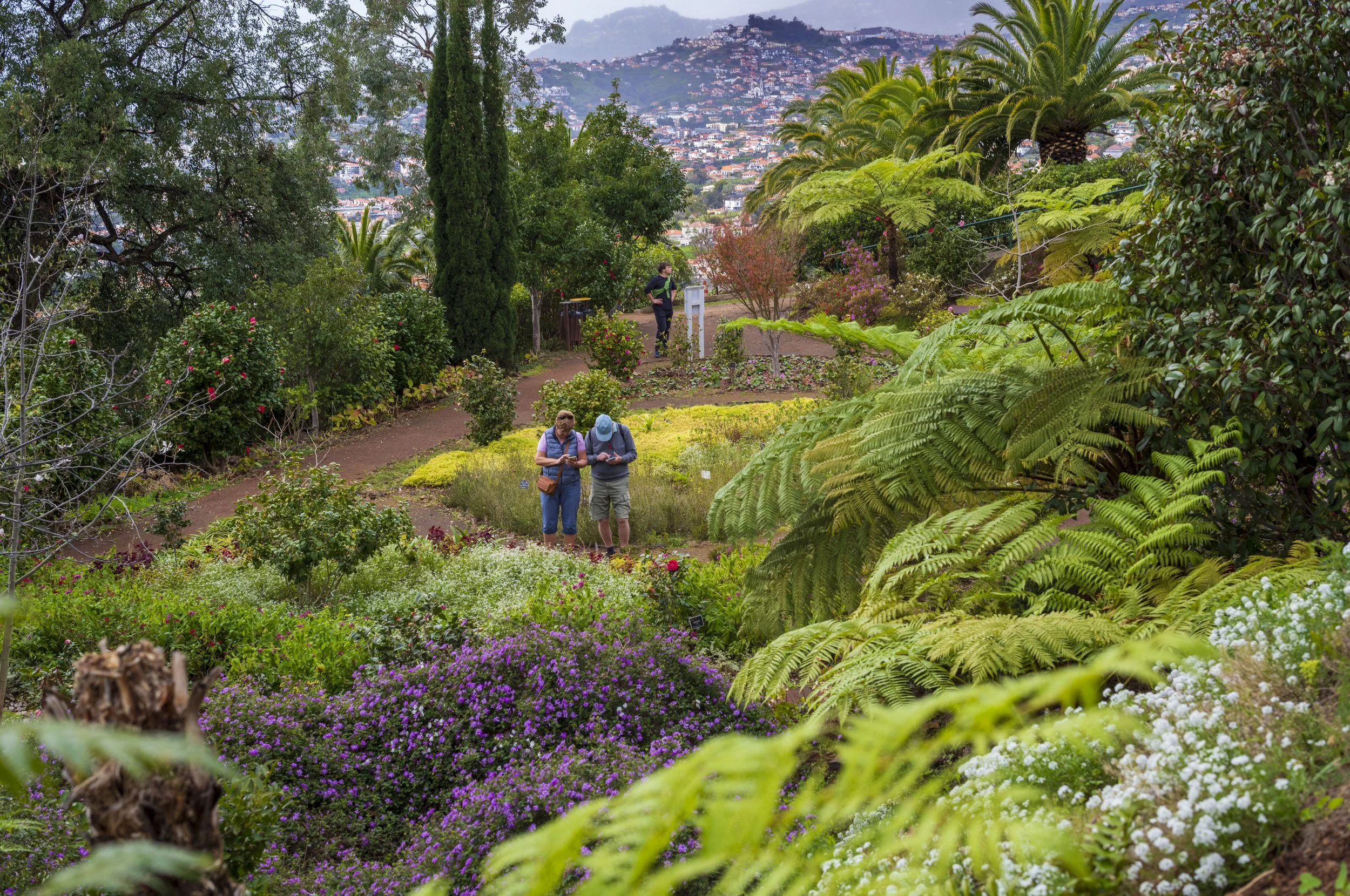 Funchal Botanical Garden