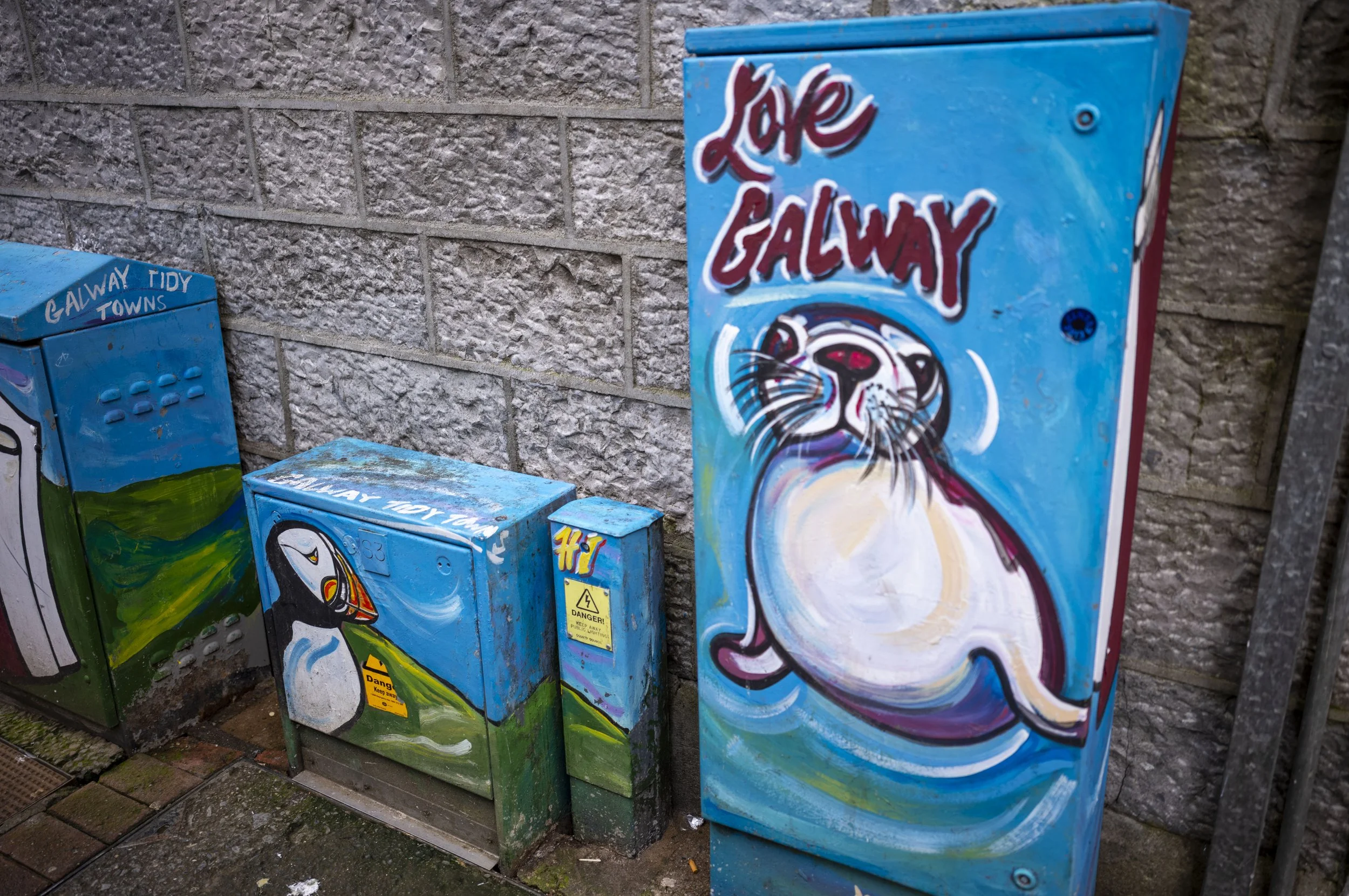 Love Galway and Puffins