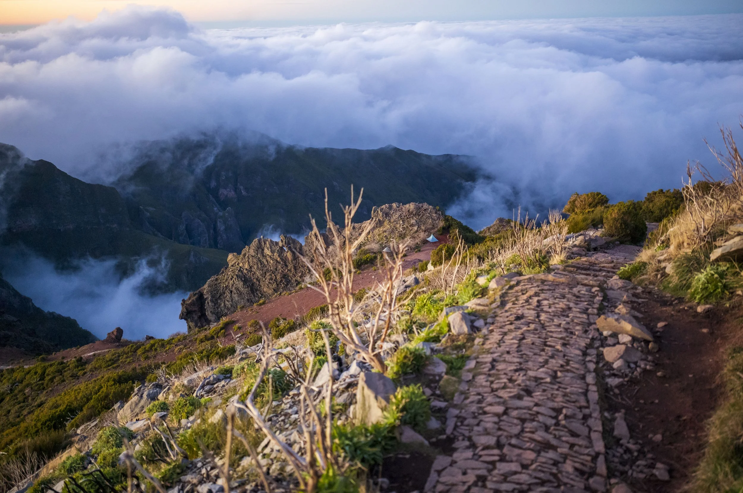 London / Madeira / Ireland 2026