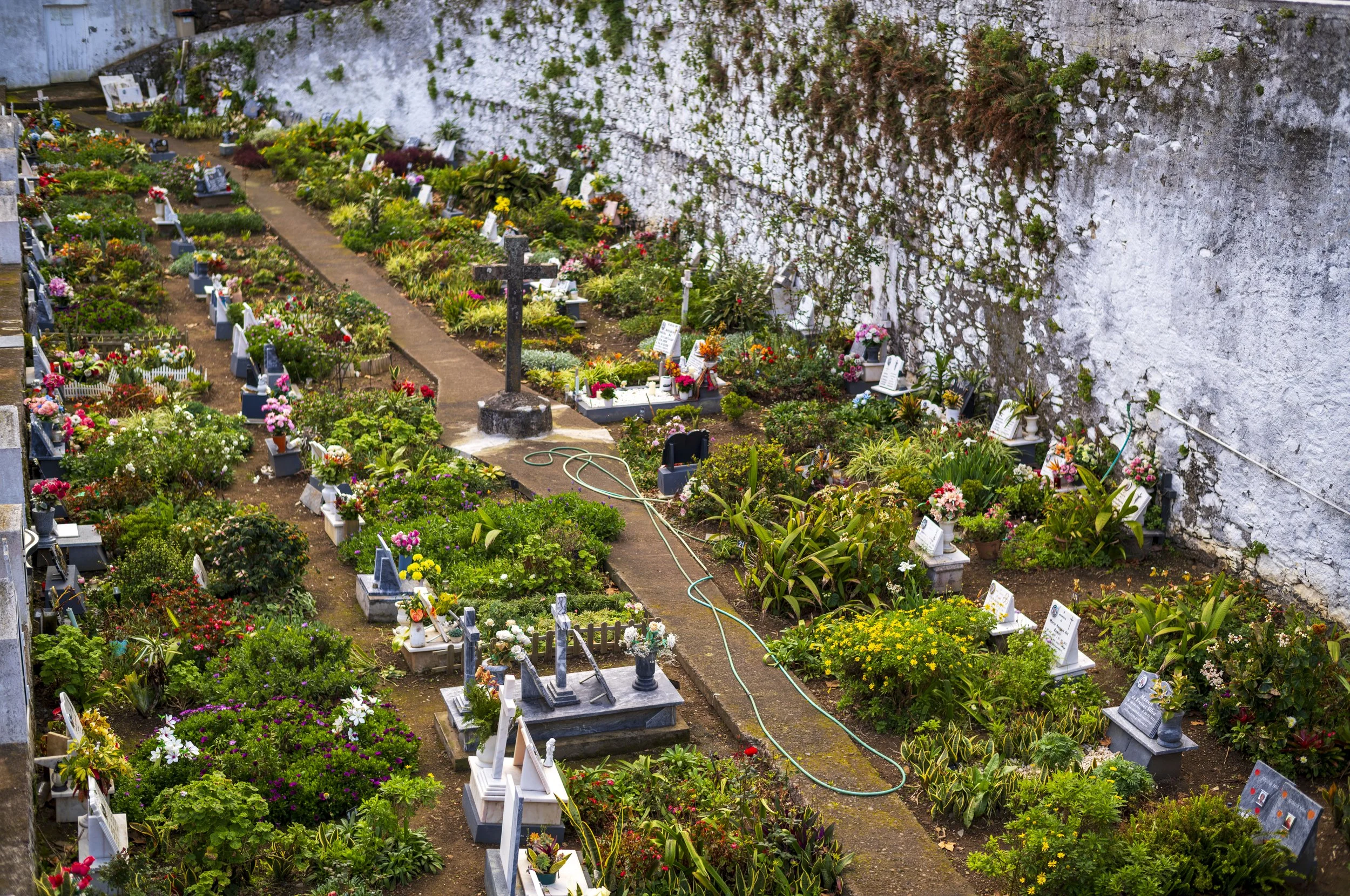 Graveyard in Porto da Cruz