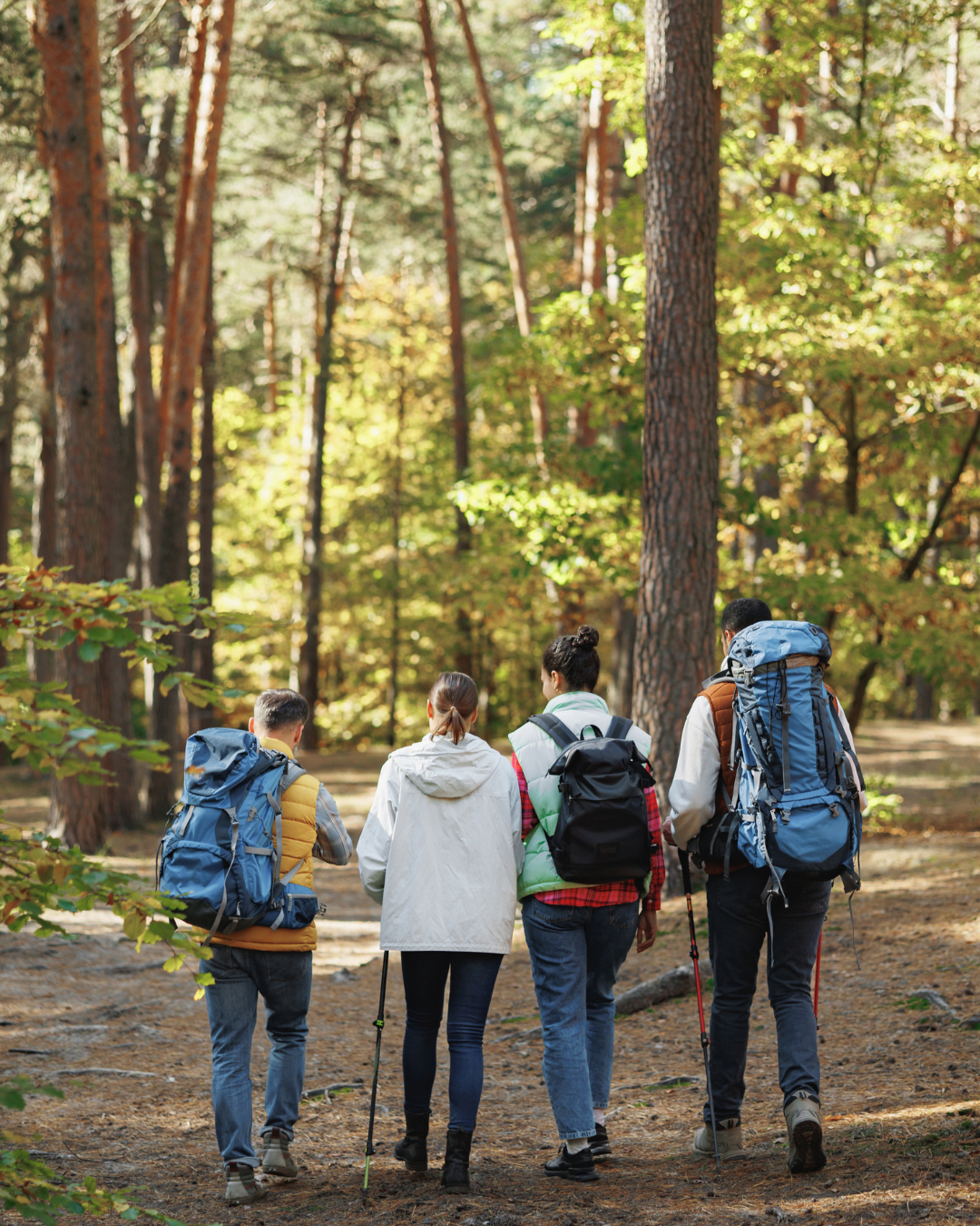 Small group of people bushwalking