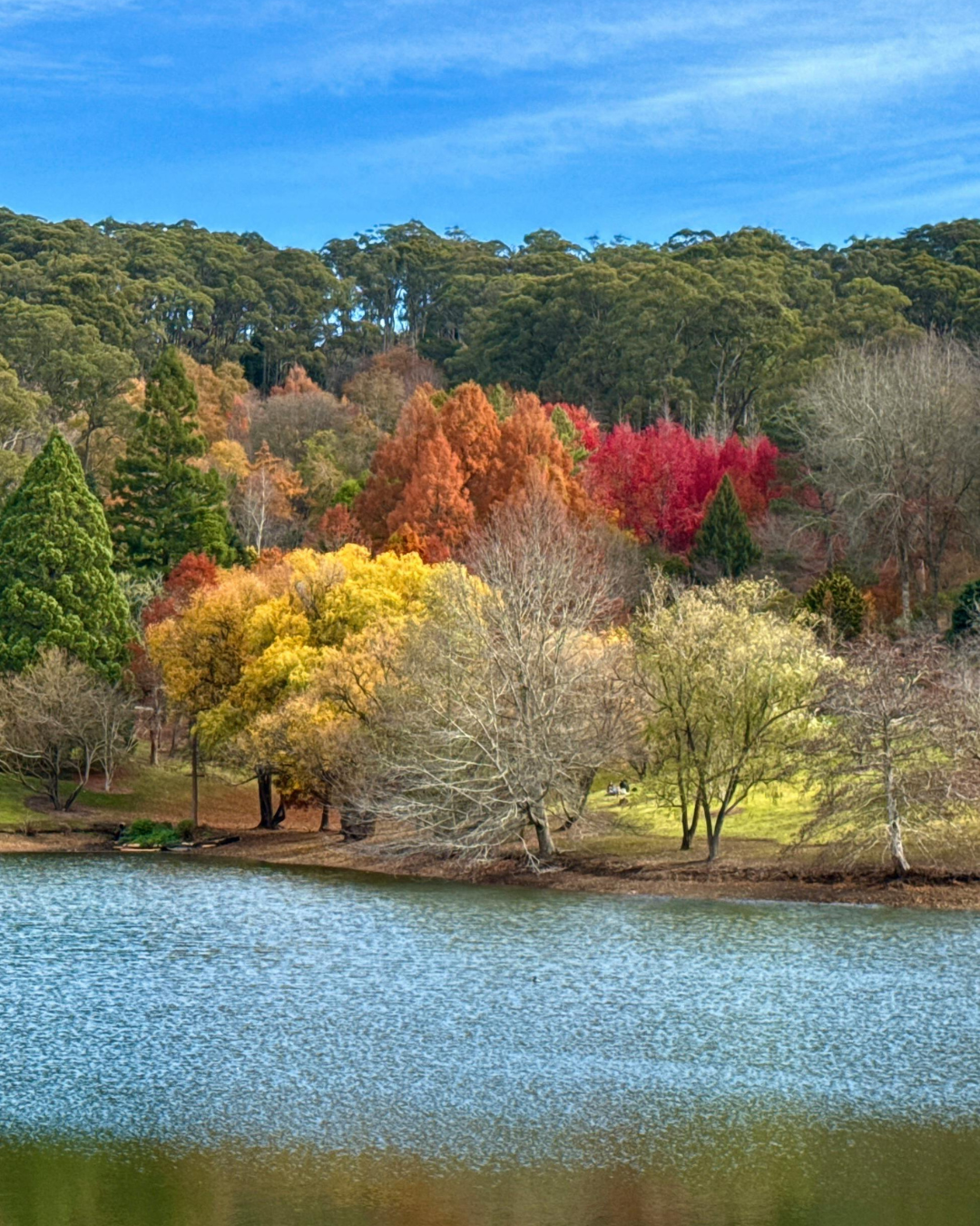 Mount Lofty South Australia