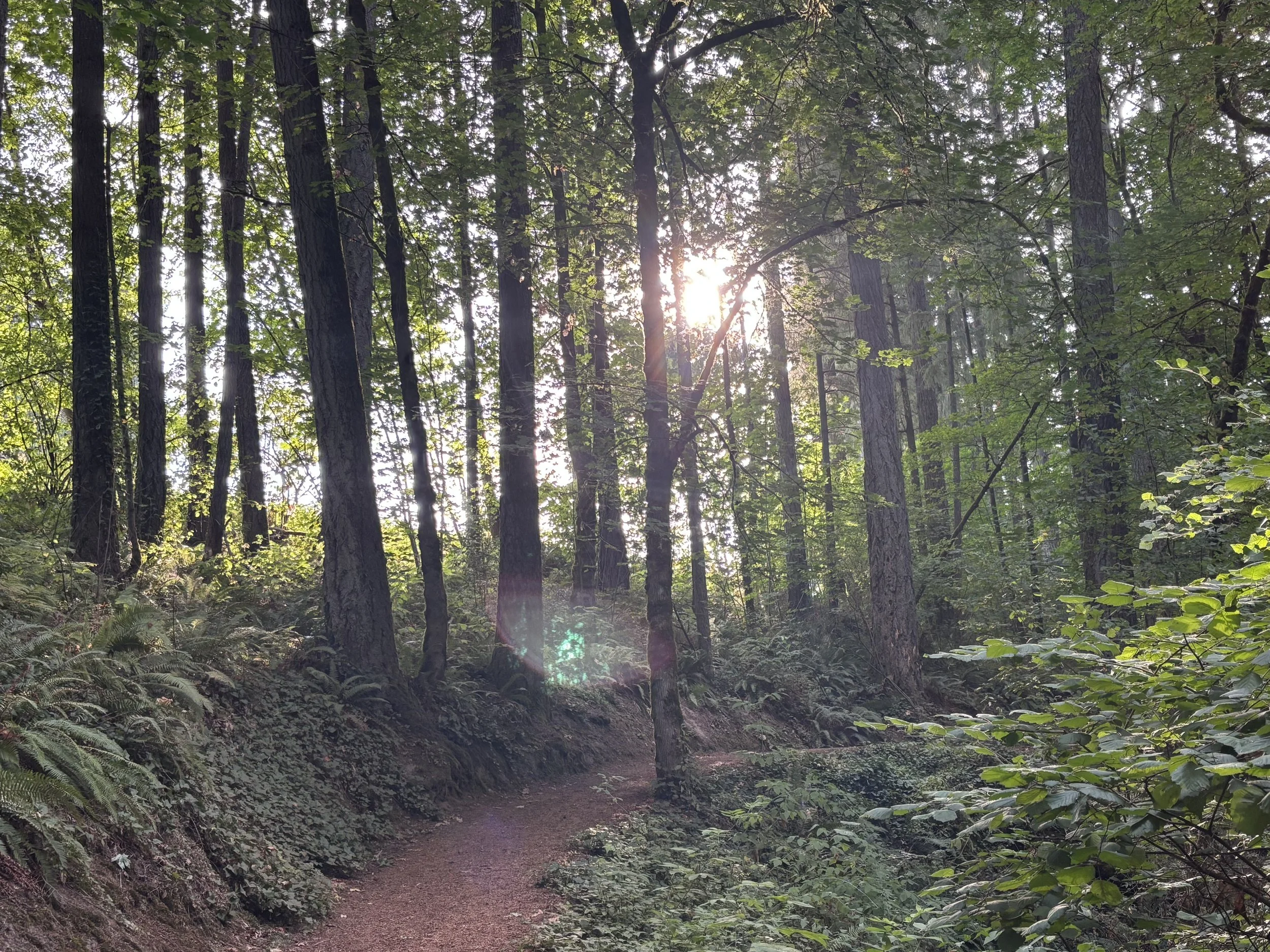 Heart Healthy Hike