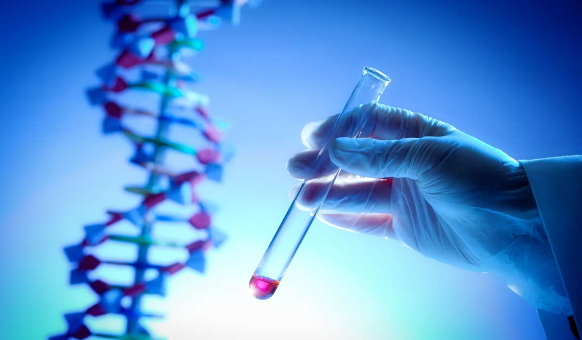 The Role of DNA Testing in Personalized Medicine