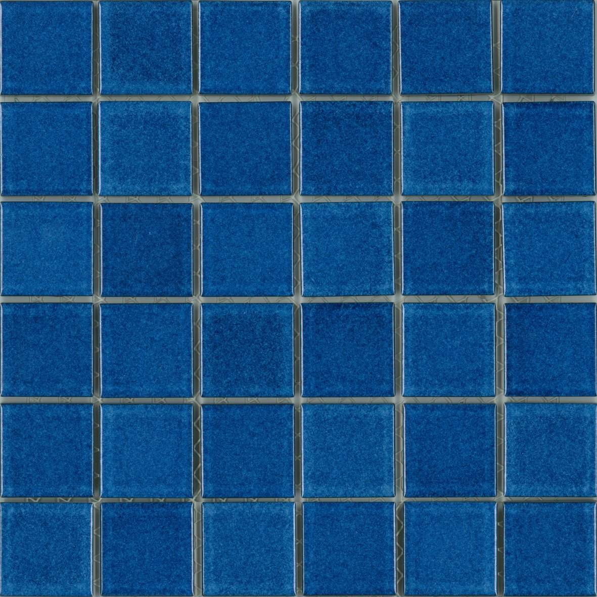 MSK077.jpg