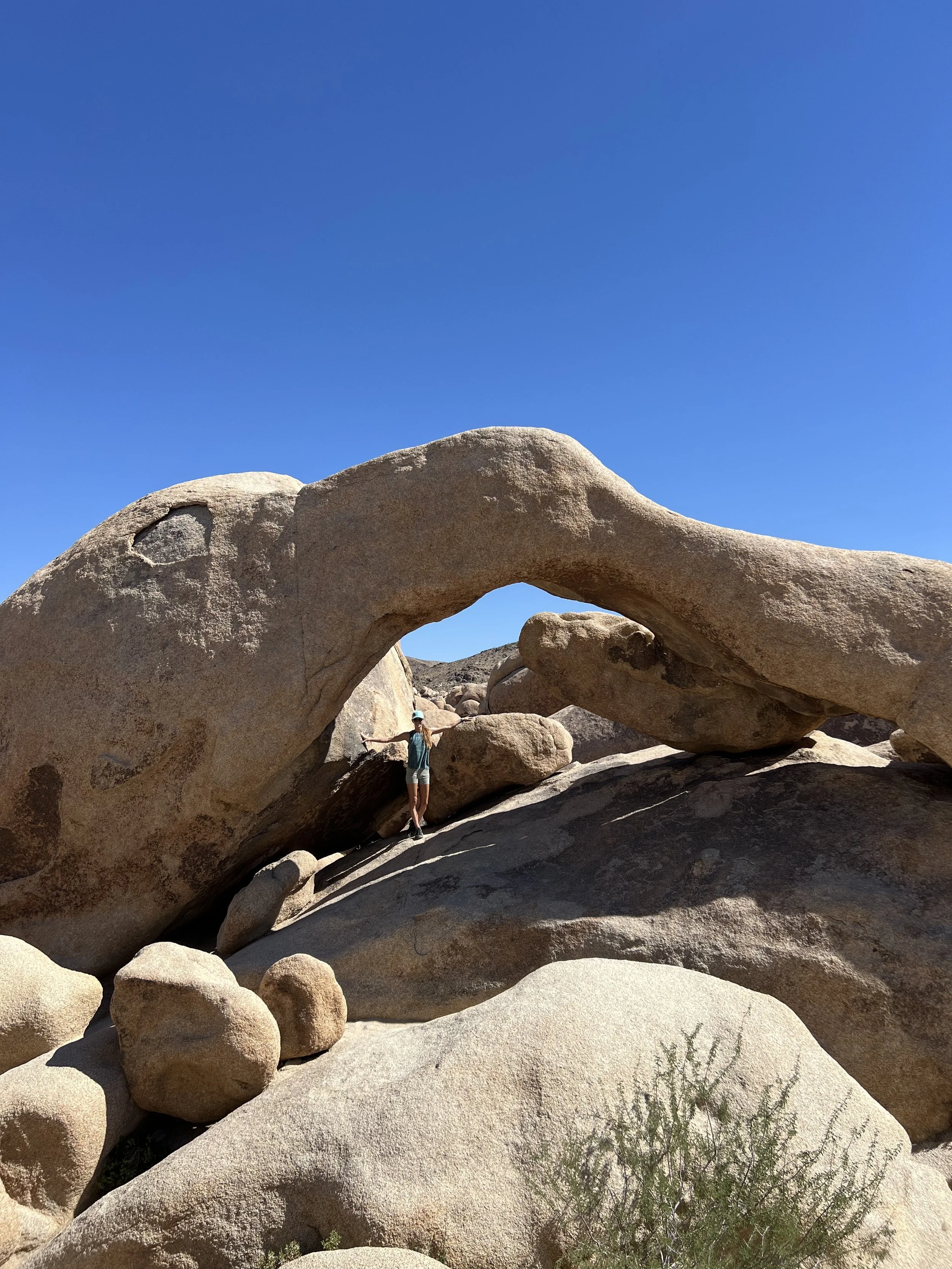 Joshua Tree