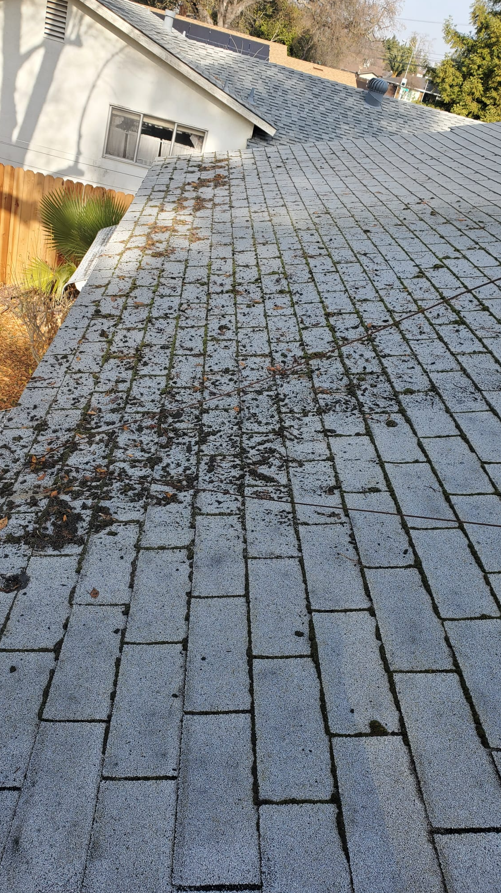 Screenshot 2026-01-08 000321.png