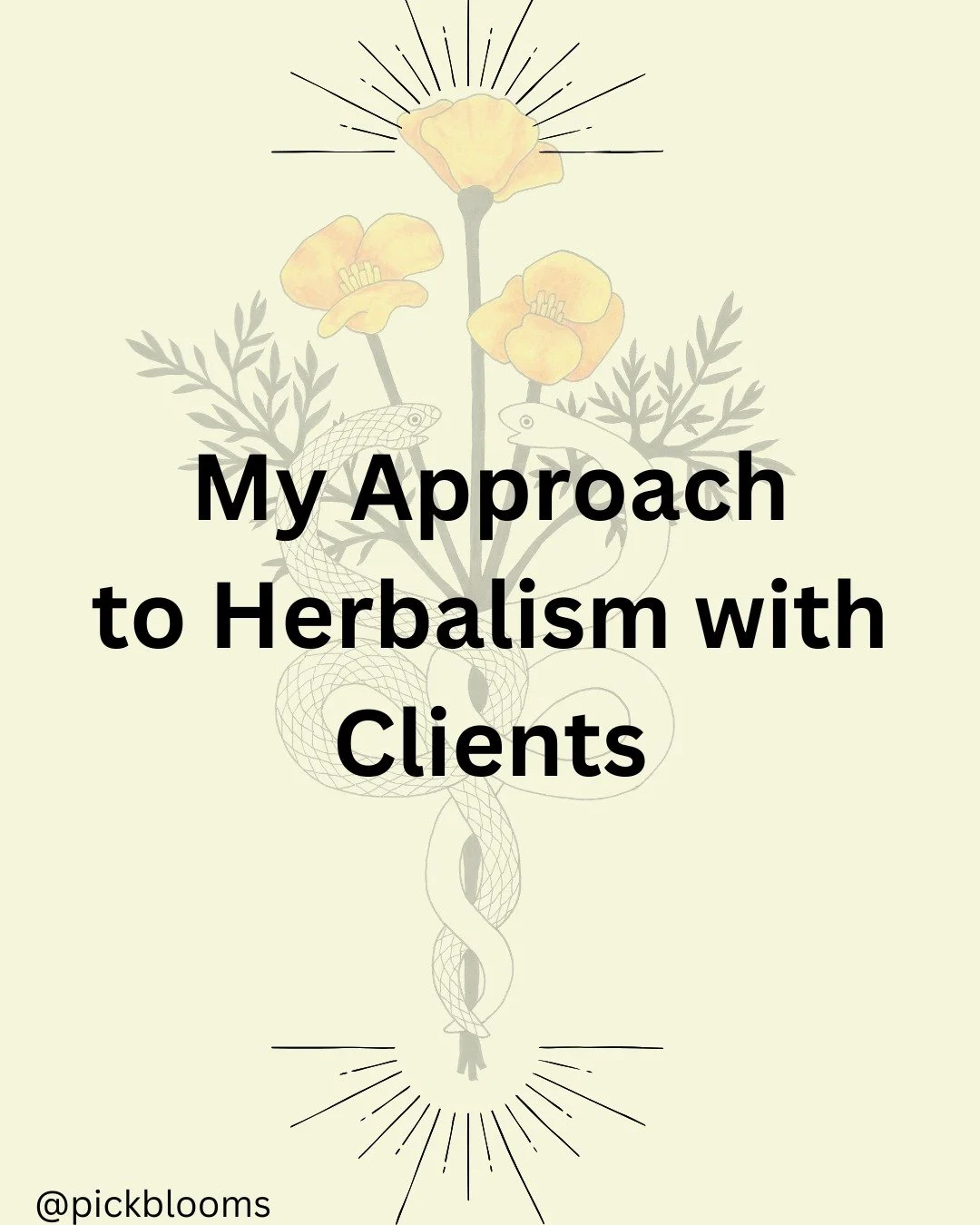 In case you are wondering what it means to work with an herbalist, here are a few ways that I focus on a client centered practice. You are the main event in your health and healing, let's make you the star. 

Head over to pickbloomsherbalism.com to c
