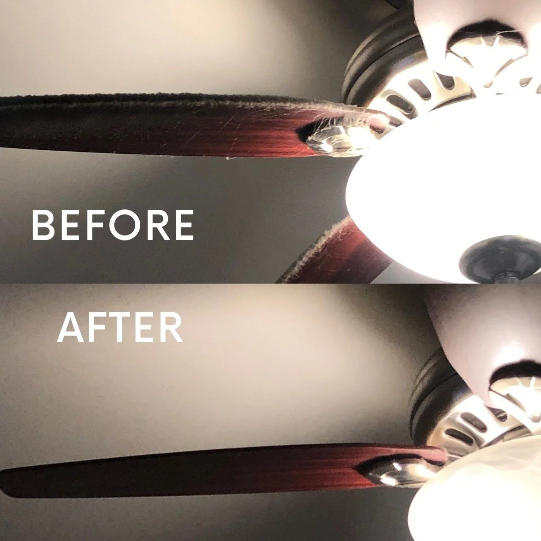 Snapdragon cleaning services in Cedar Springs, Michigan.