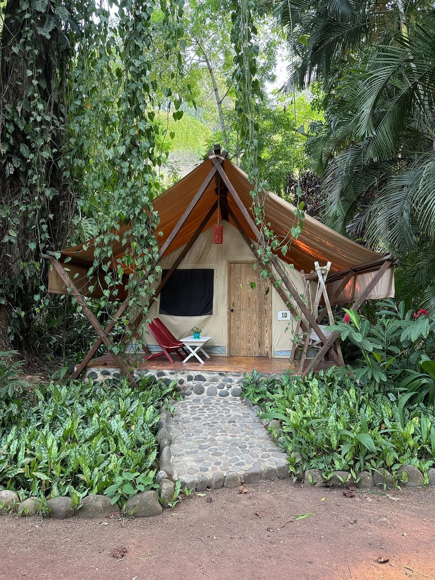 🚪🍃🍃🍃