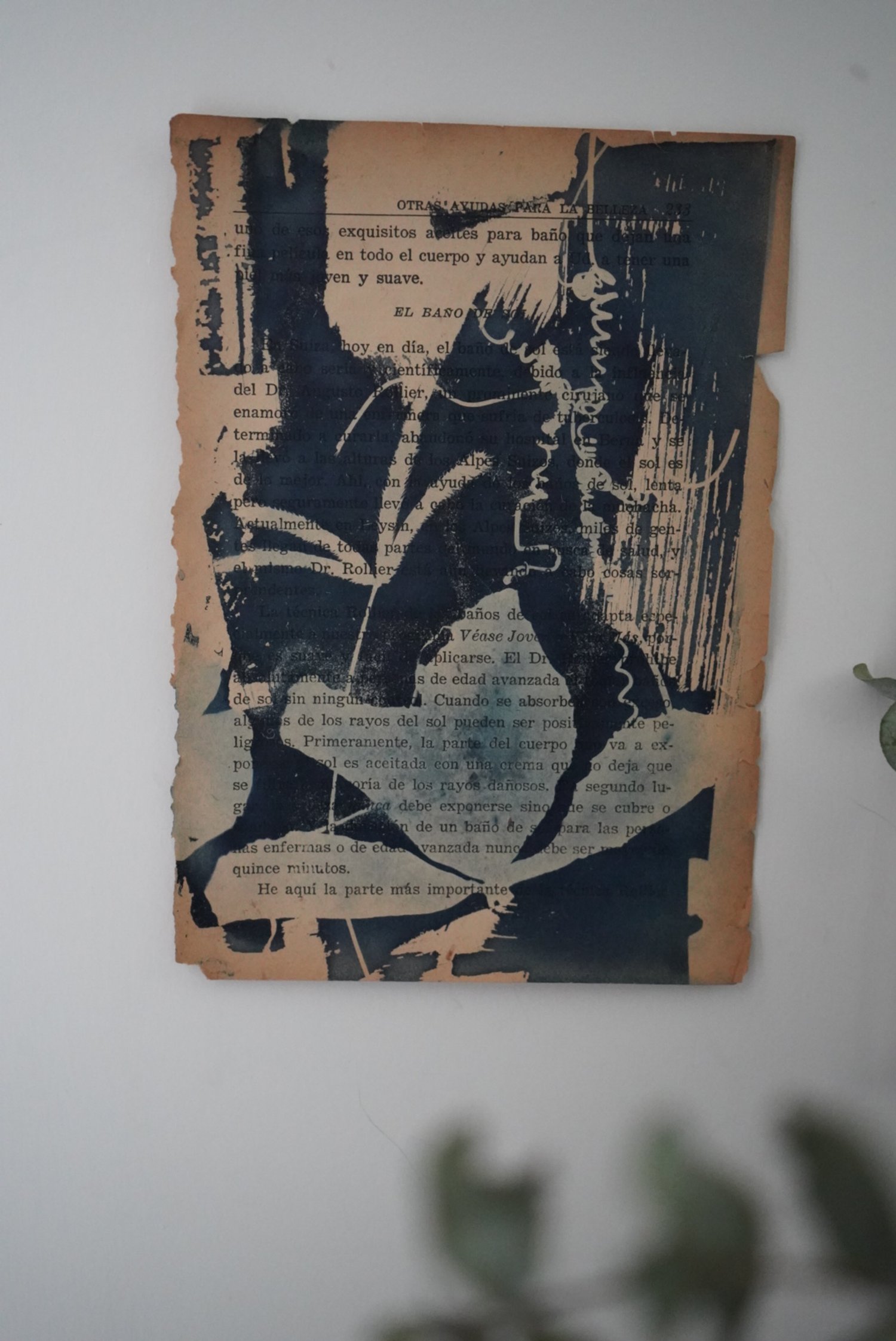 DSC06574.jpeg
