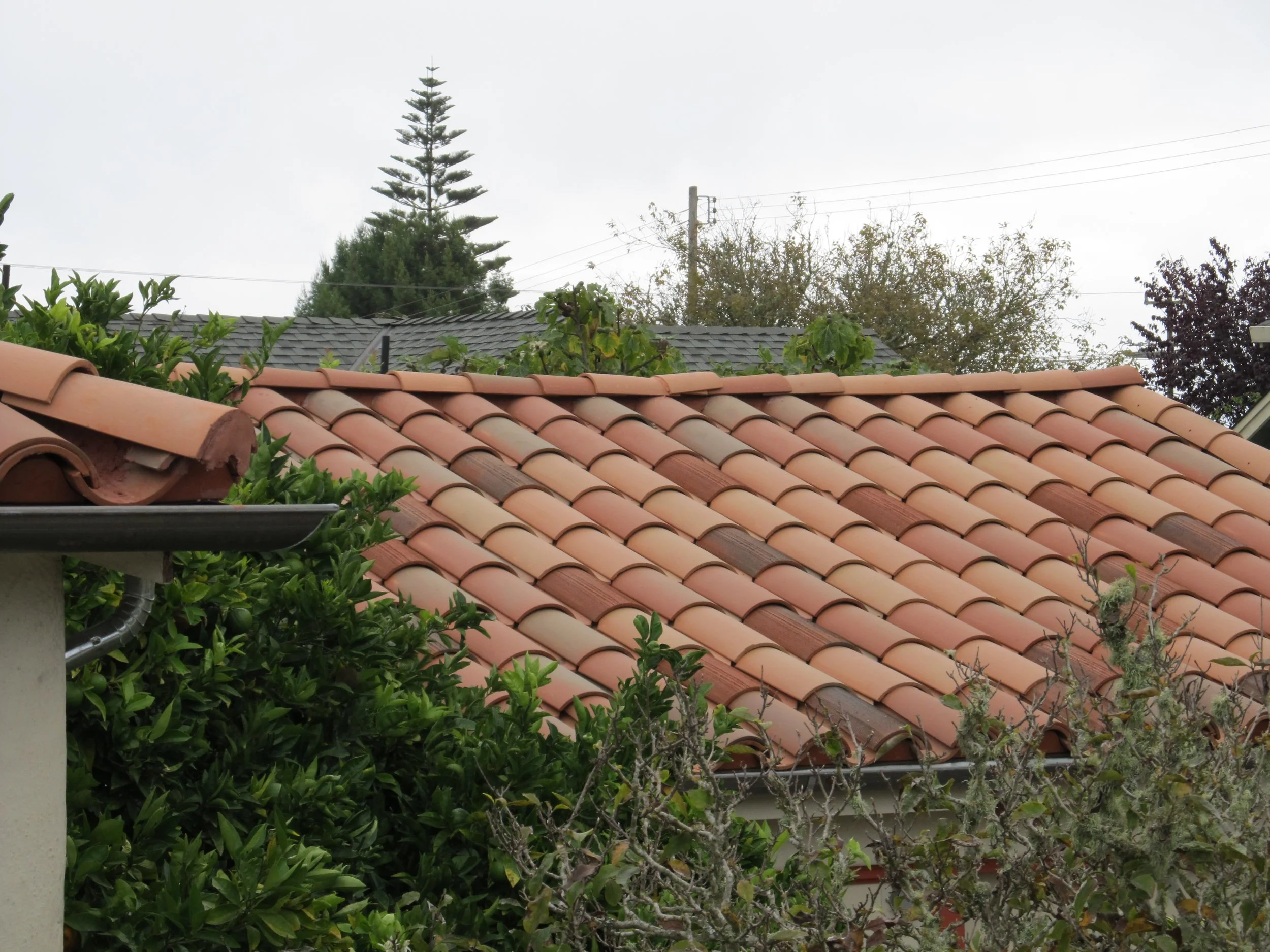A house roof with orange clay tiles, surrounded by green bushes and trees, and utility wires in the background.
