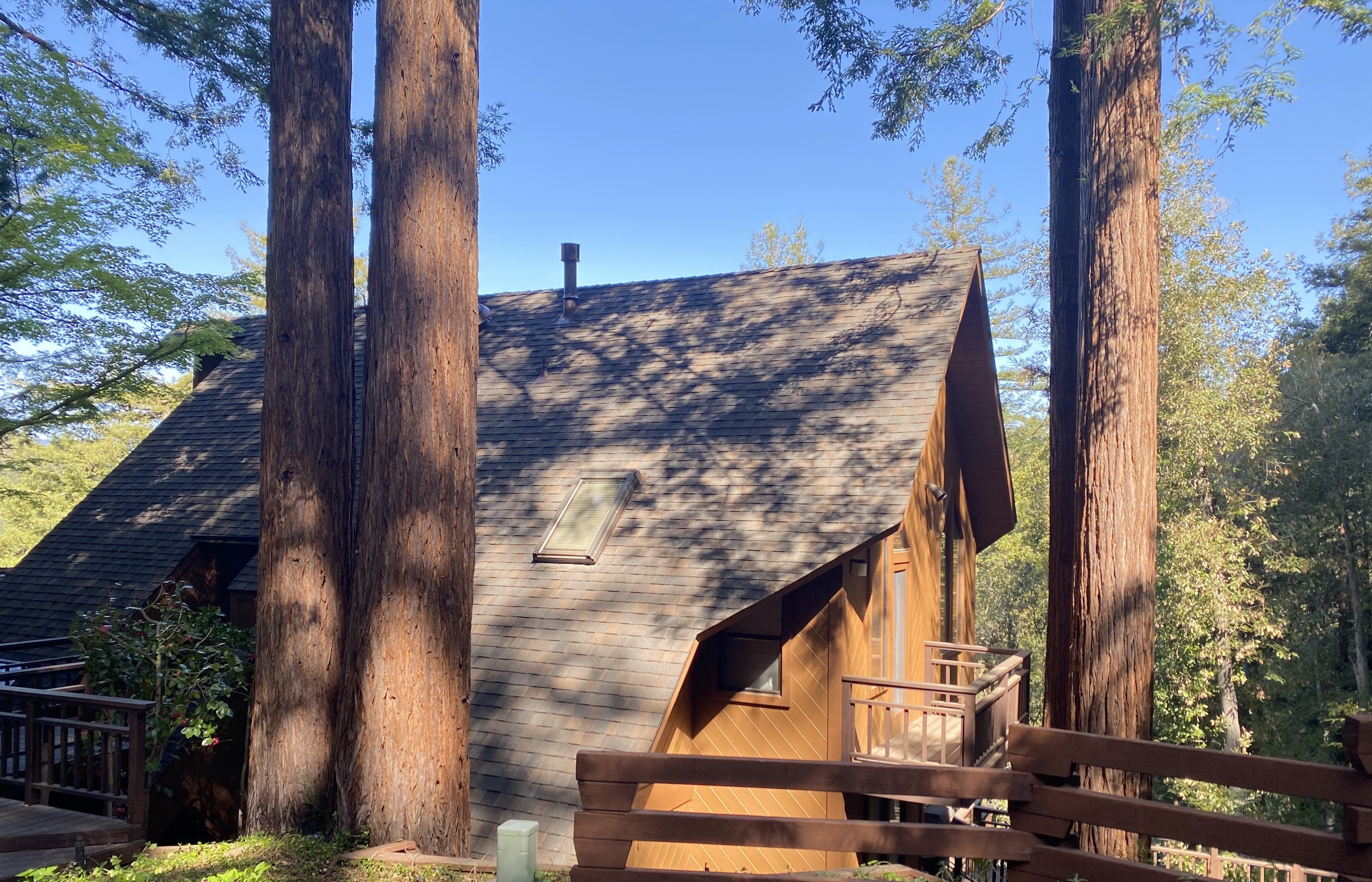 A wooden house with a steeply sloped roof located among tall trees with sunlight casting shadows on the roof and surrounding area.
