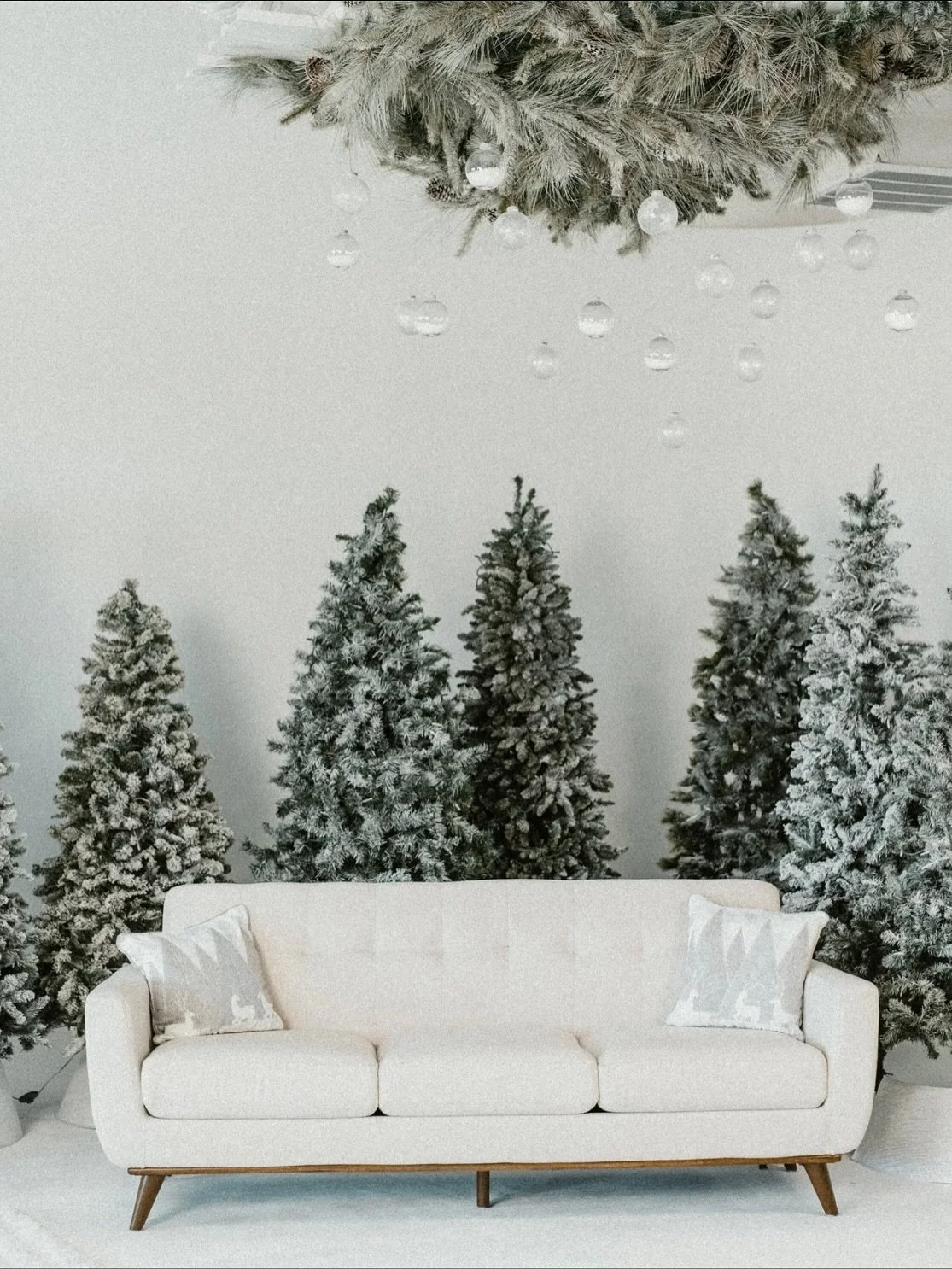 The Christmas living room set. With the option for Christmas tree lights to be on or off, this set is available from October 22nd - December 31st 
#jacksonvillencphotographer #jacksonvillencphotography #wilmingtonnc #greenvillenc #washingtonnc #beau
