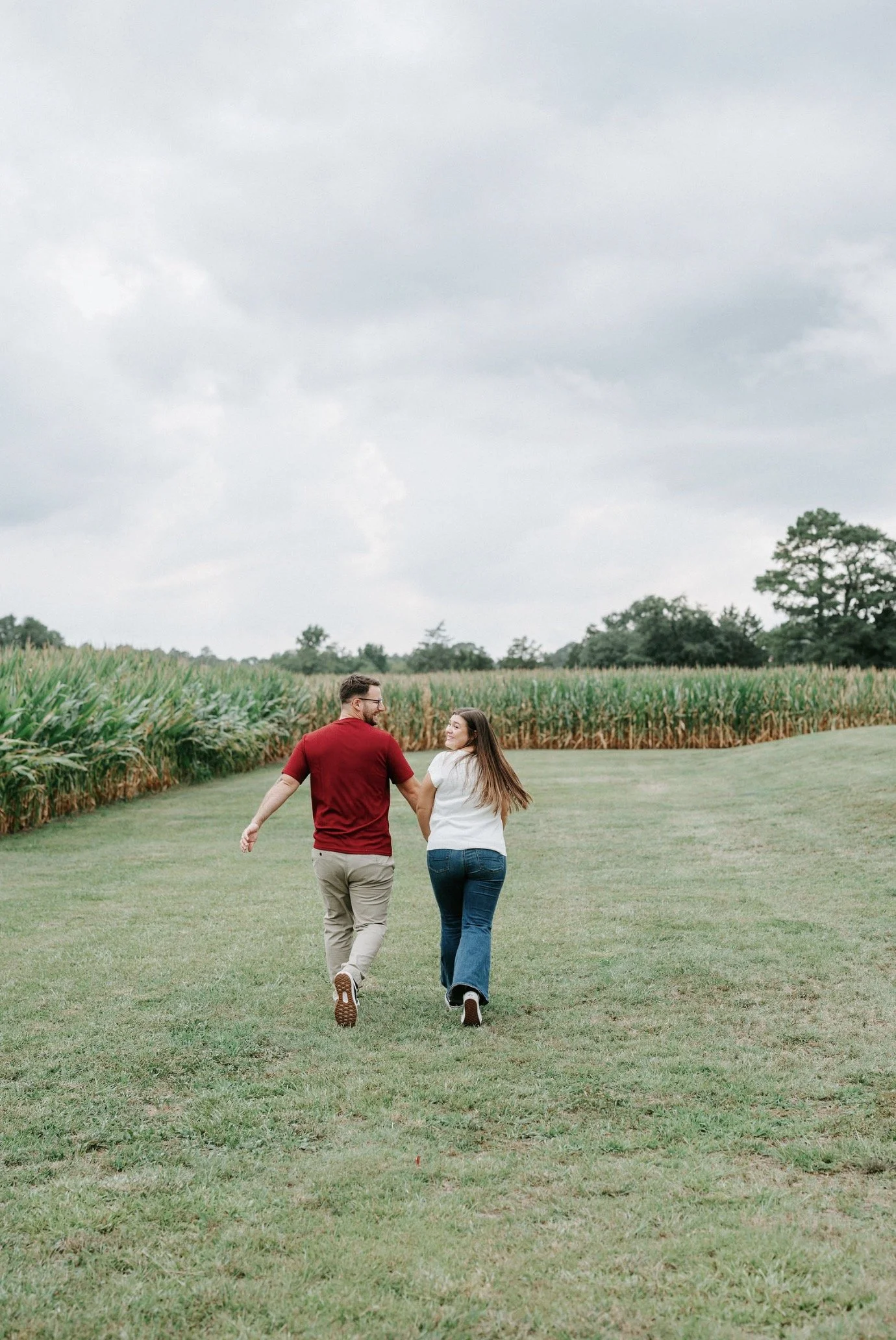 A lush green cornfield with tall stalks of corn, surrounded by trees and a soft pastel sky.