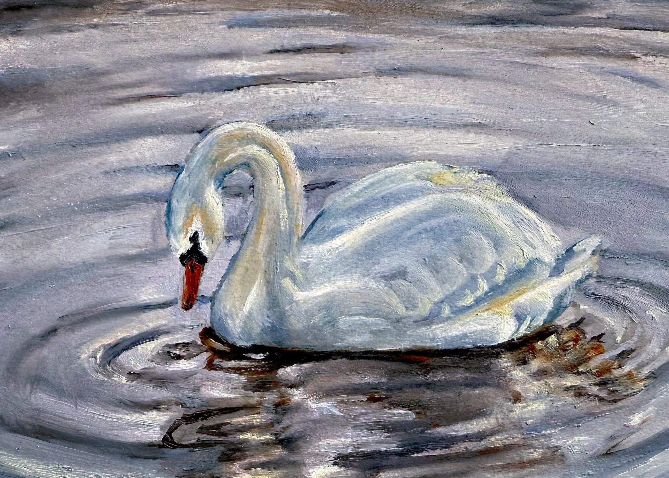 Graceful Swan