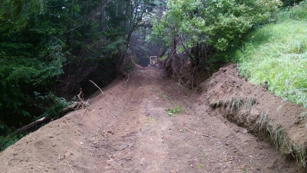 Une route de terre en construction ou en réparation, entourée d'arbres verts et de végétation, avec un bulldozer visible au fond.