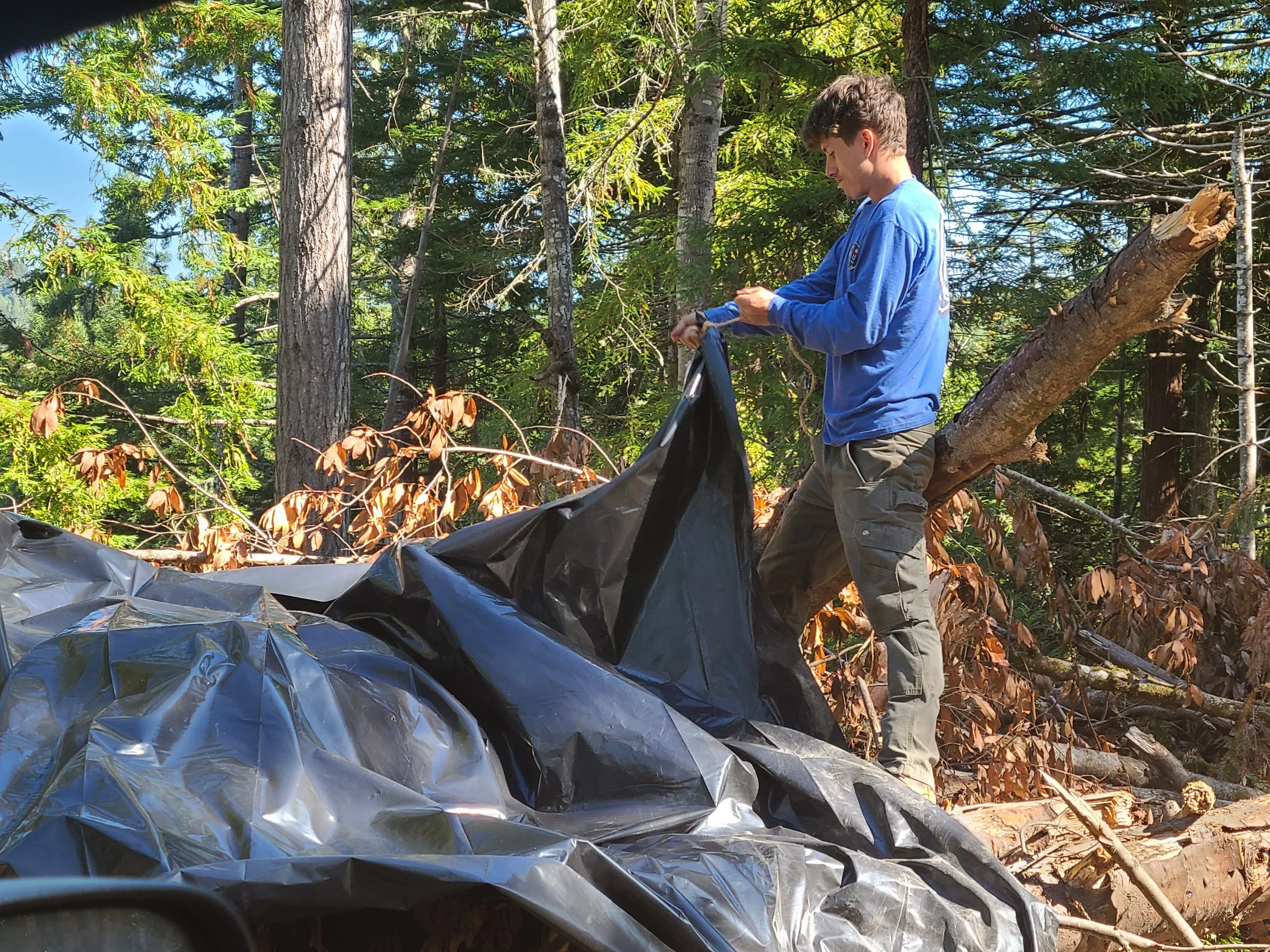 Lane Unit 2 Burn Pile.jpg